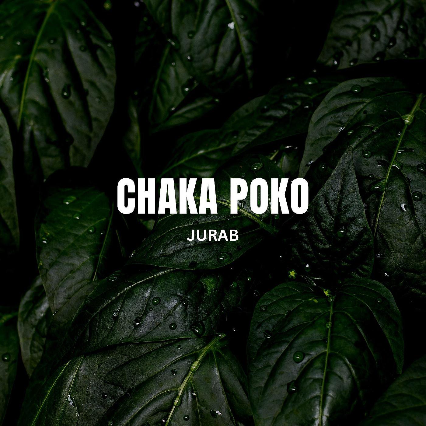 Постер альбома Chaka Poko