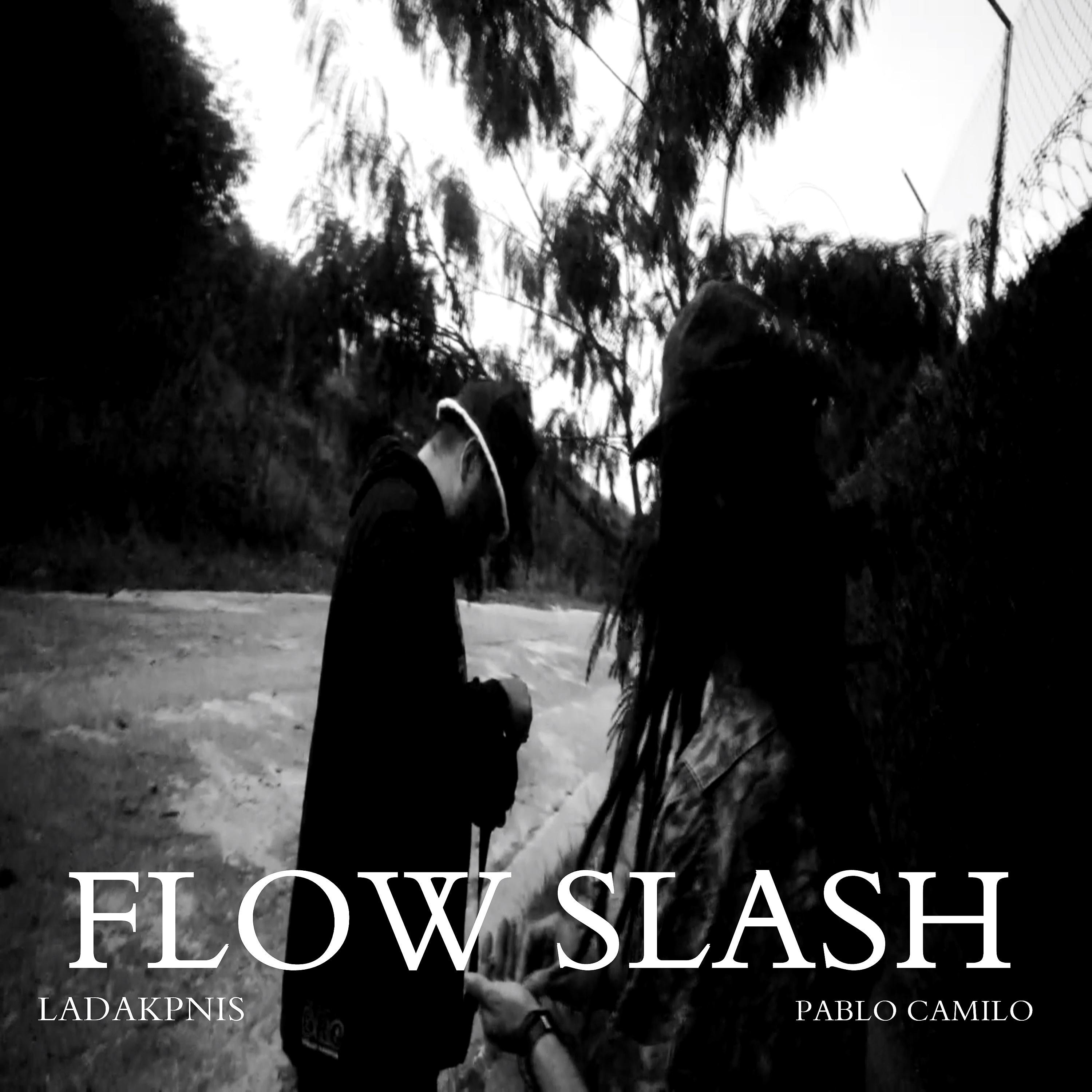 Постер альбома Flow Slash