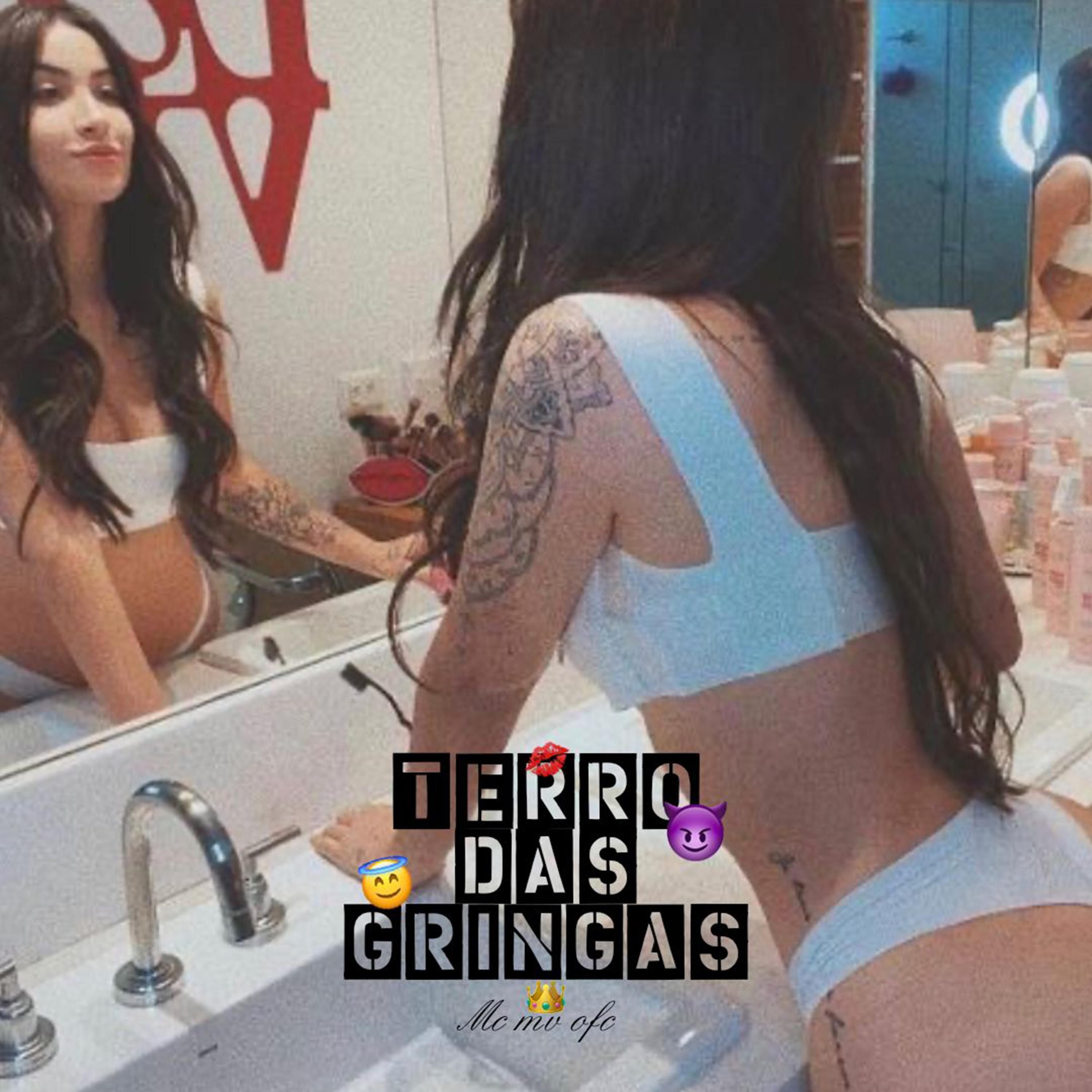 Постер альбома Terror das Gringas