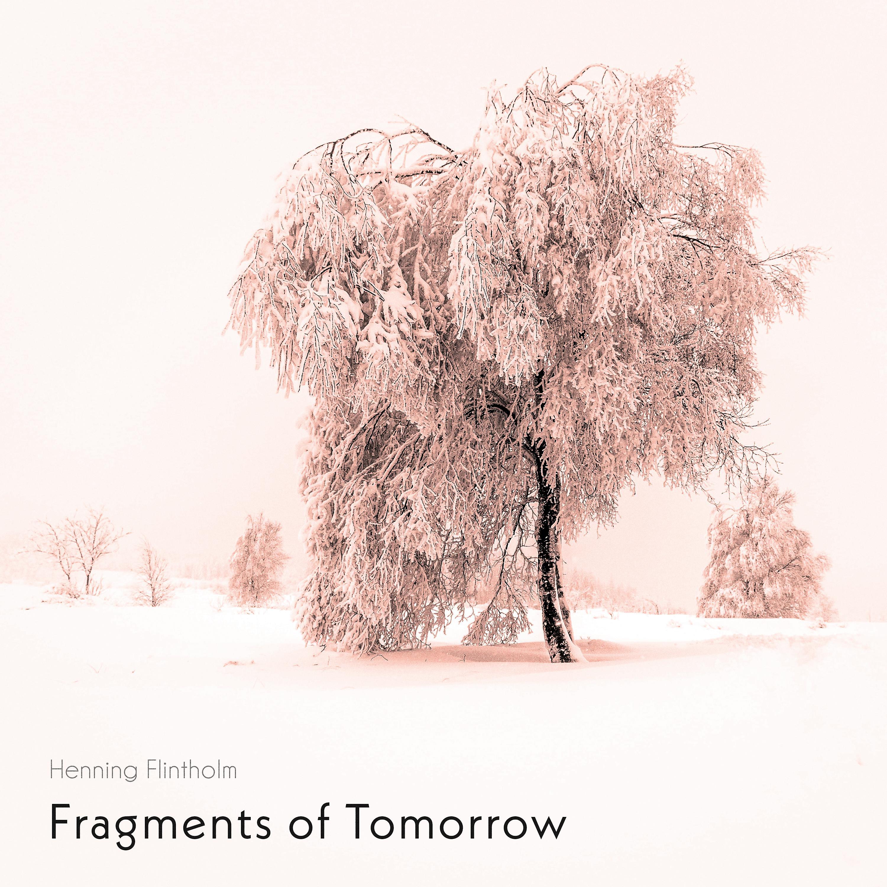 Постер альбома Fragments of Tomorrow