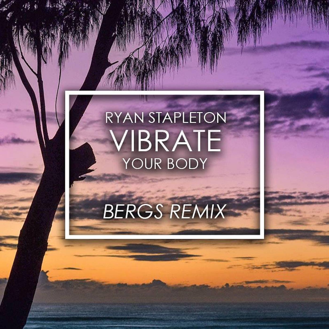 Постер альбома Vibrate Your Body (Bergs Remix)
