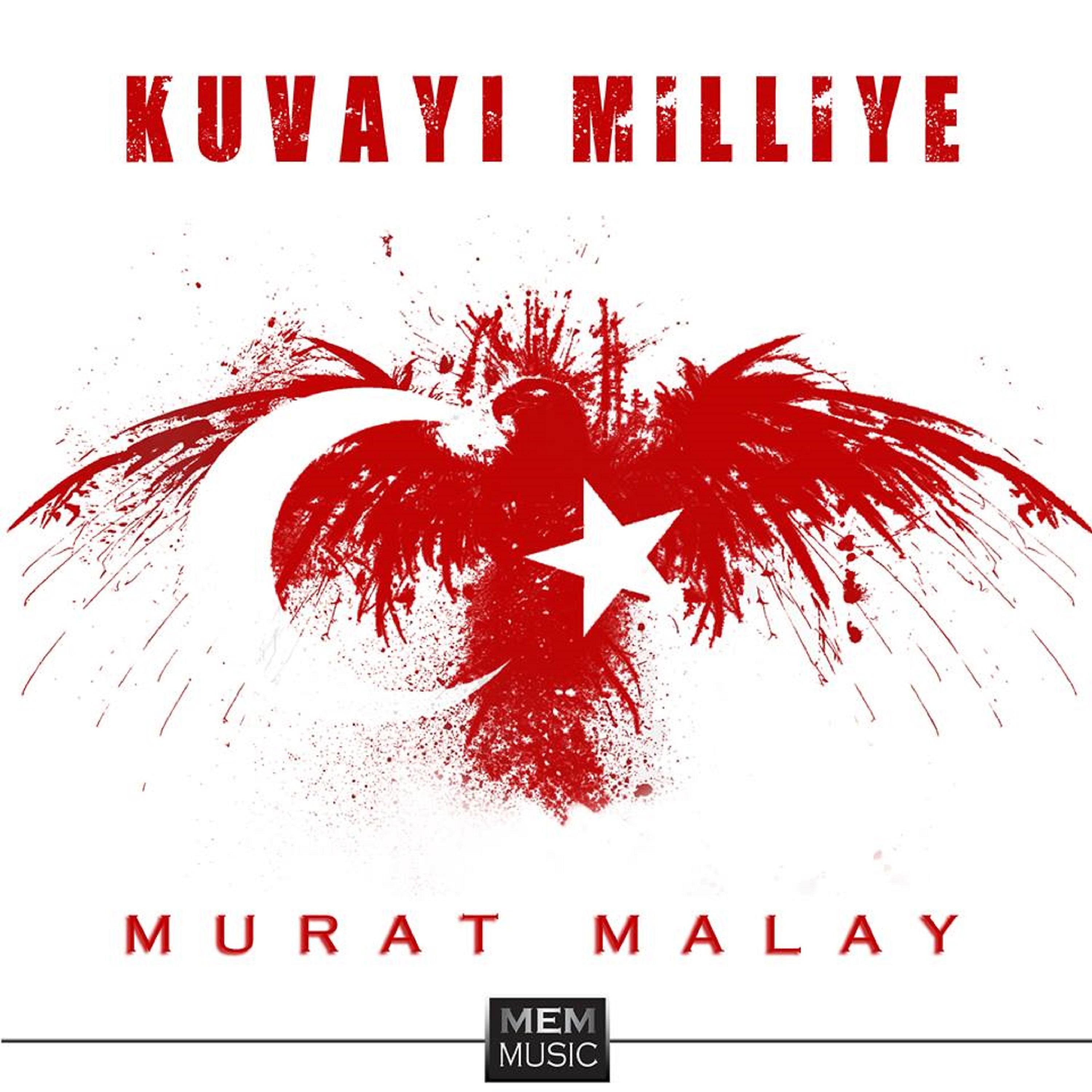 Постер альбома Kuvayı Milliye