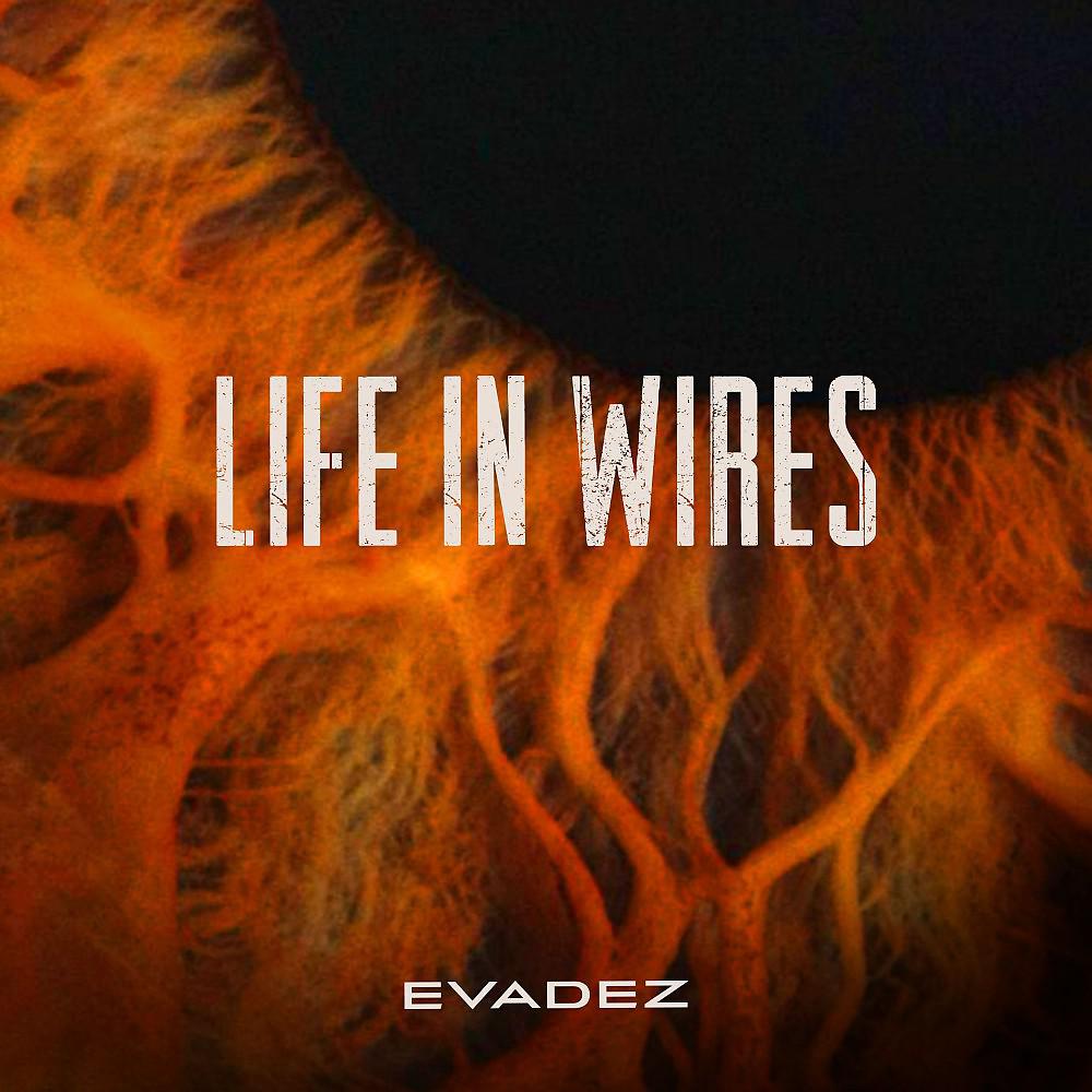Постер альбома Life in Wires