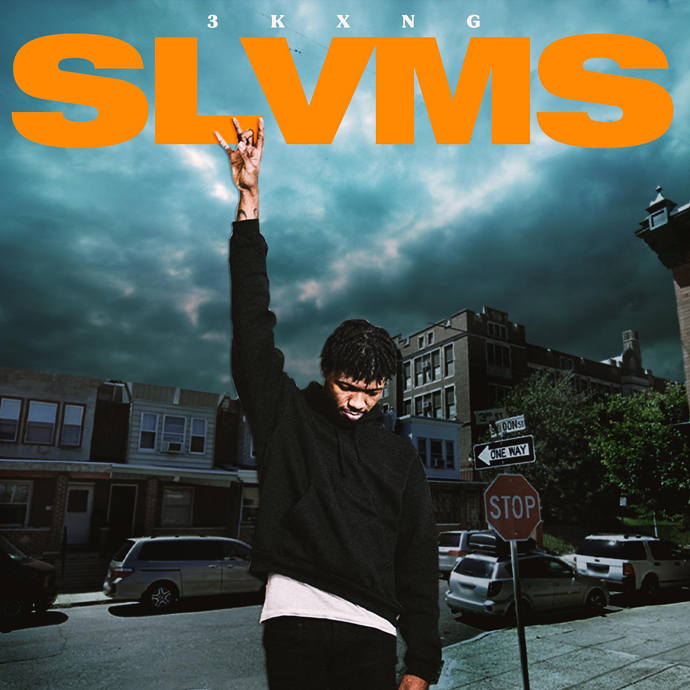 Постер альбома Slvms