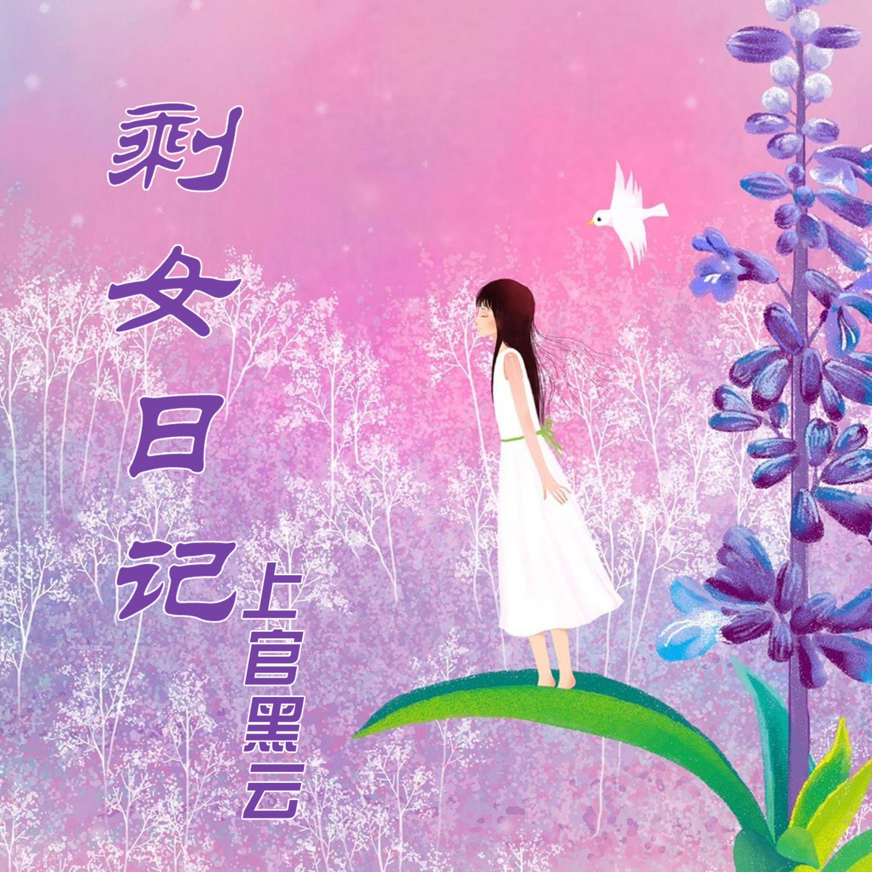 Постер альбома 剩女日记