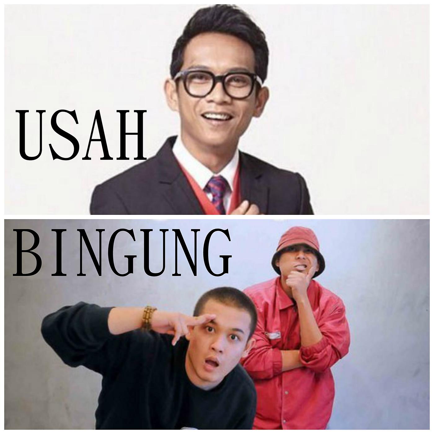Постер альбома Usah Bingung