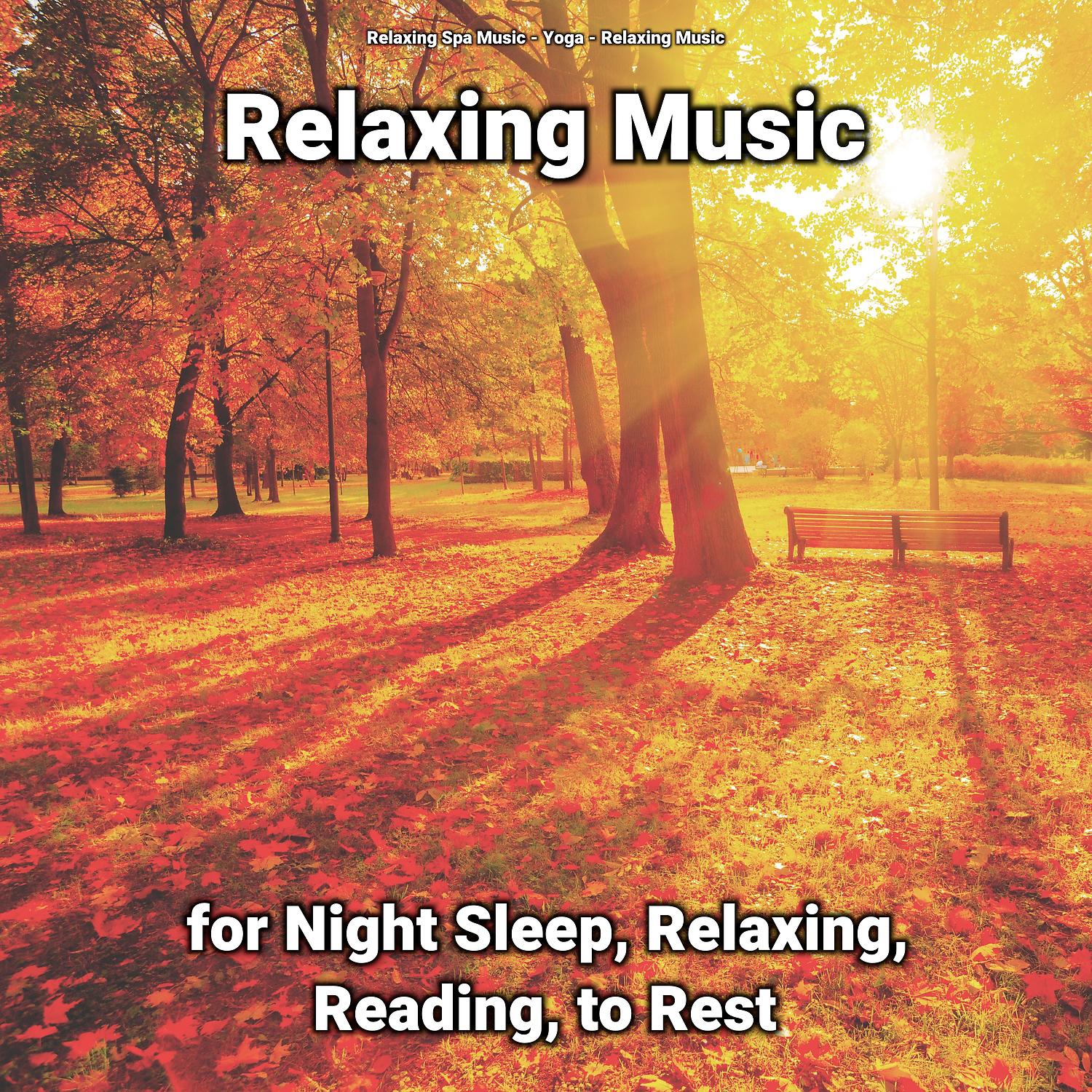 Постер альбома Relaxing Music for Night Sleep, Relaxing, Reading, to Rest