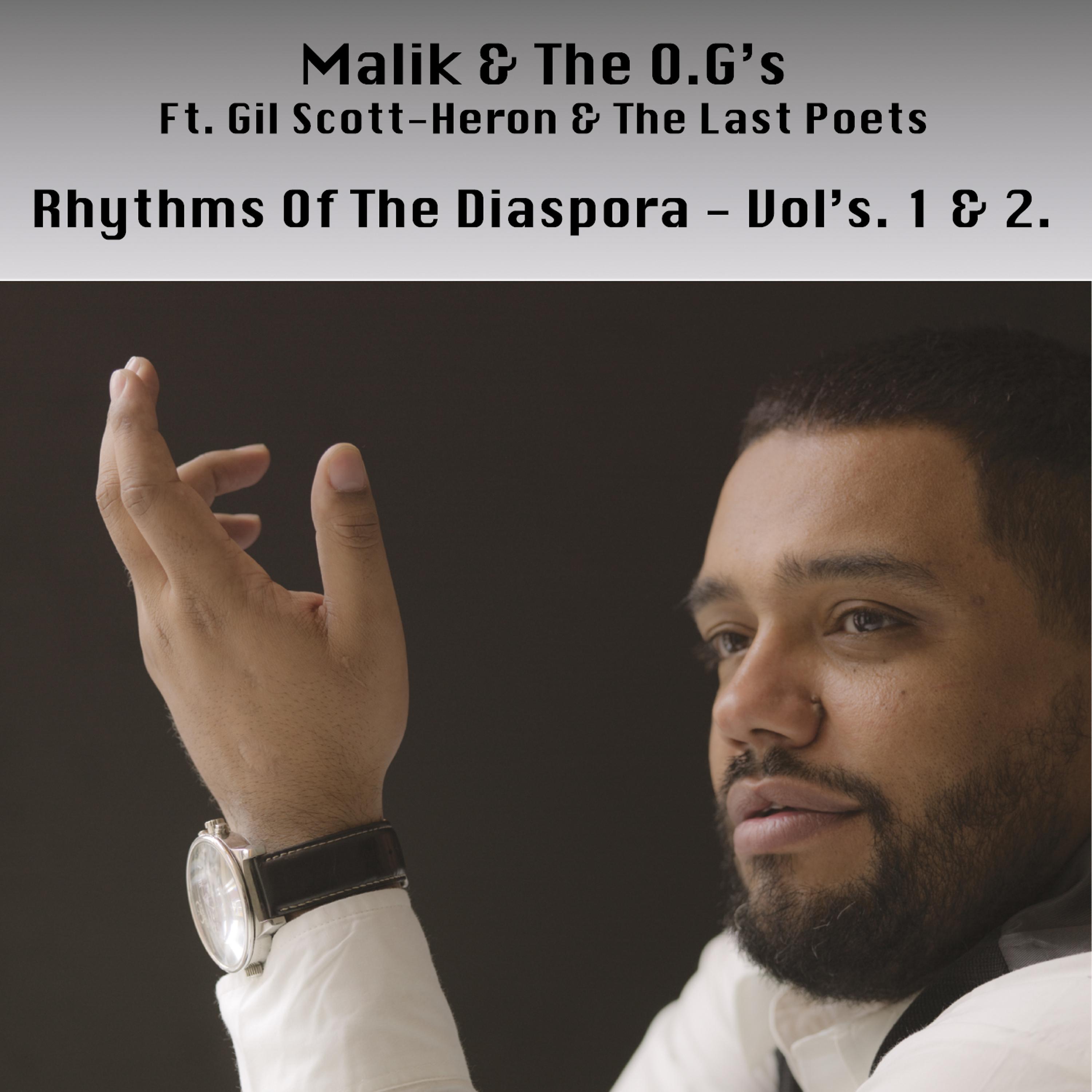 Постер альбома Rhythms of the Diaspora, Vol. 1 & 2