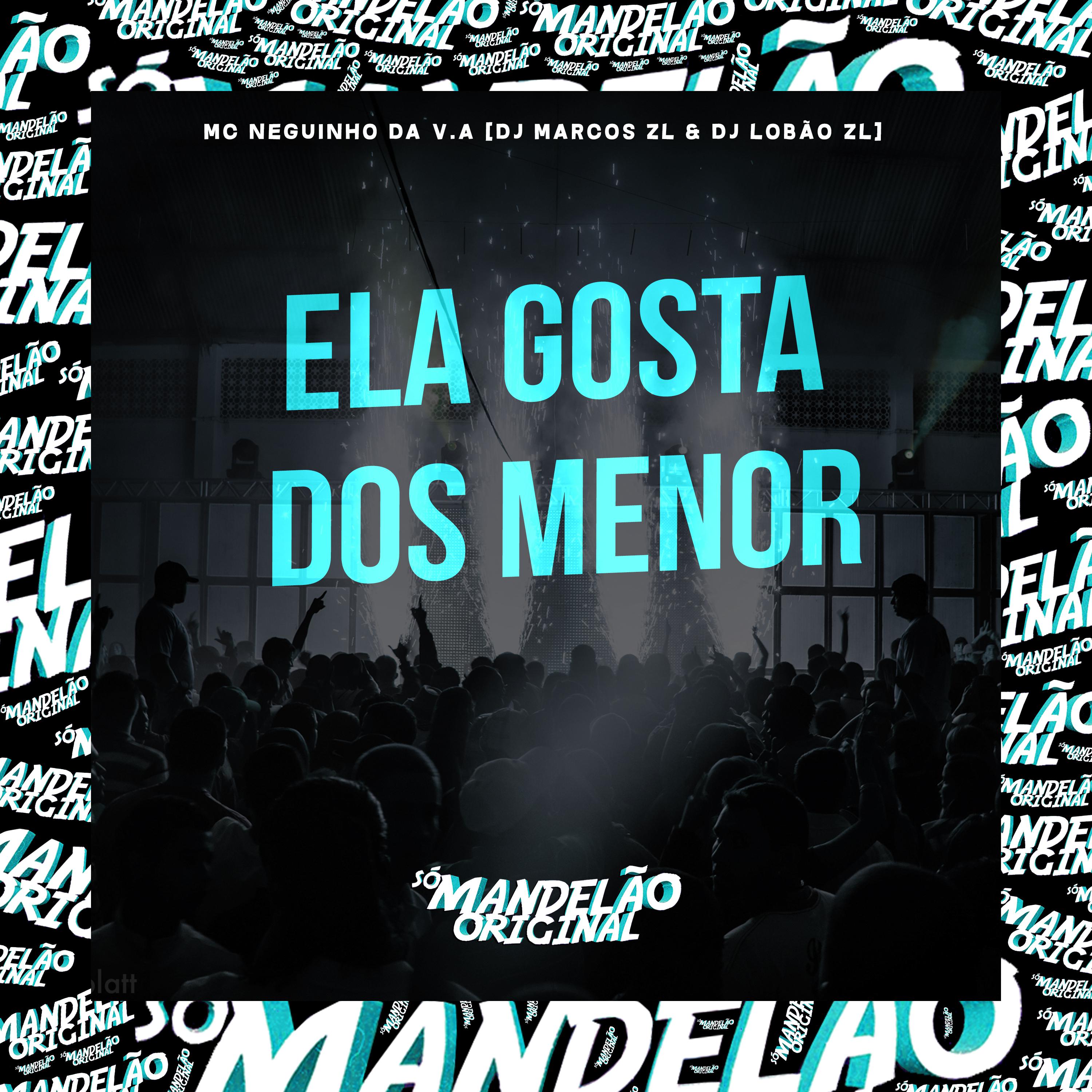 Постер альбома Ela Gosta dos Menor