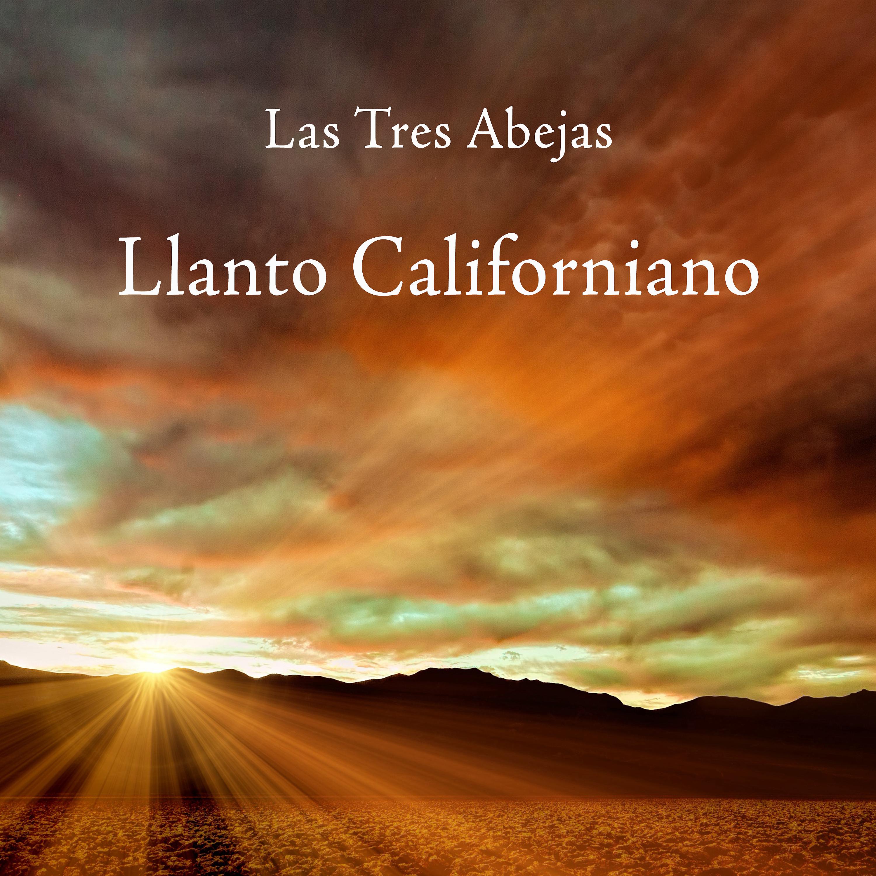 Постер альбома Llanto Californiano