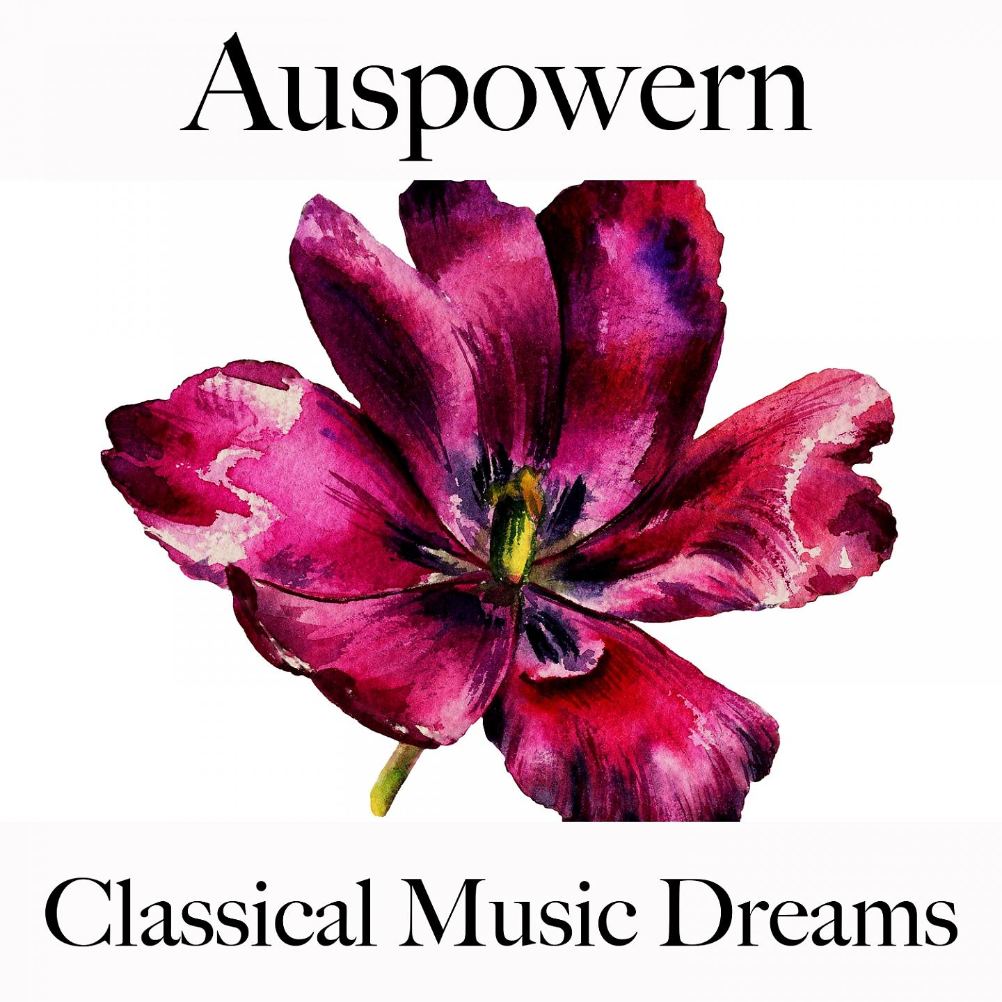 Постер альбома Auspowern: Classical Music Dreams - Die Besten Sounds Zum Workout