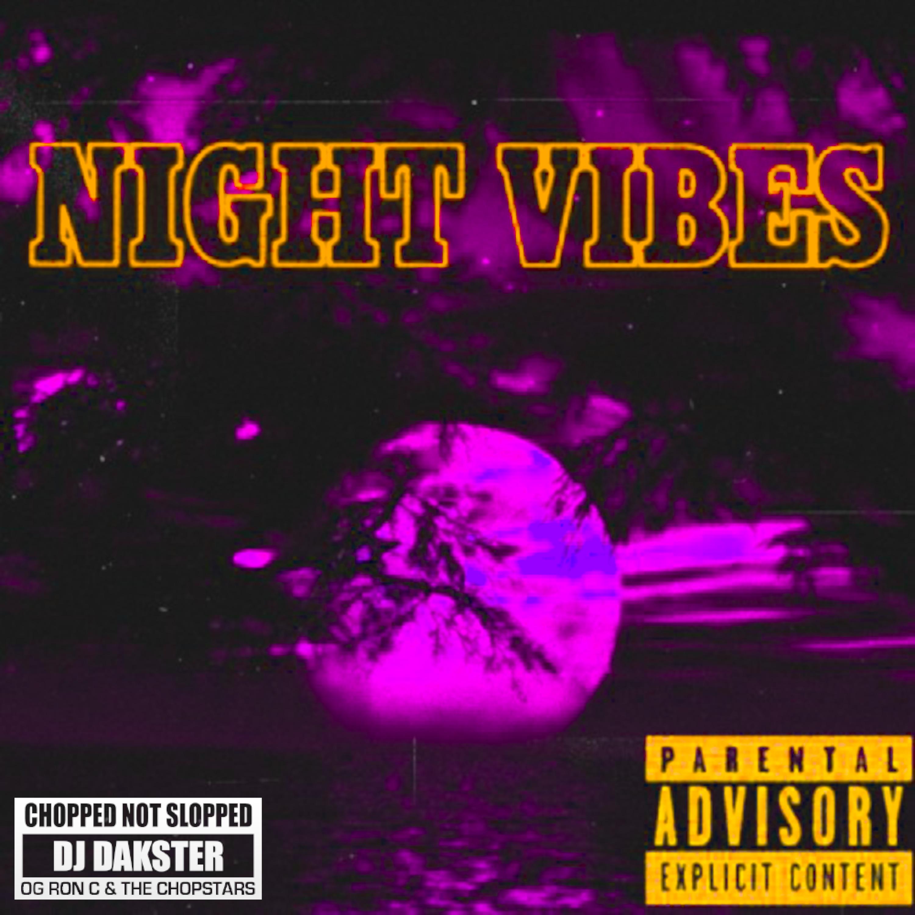 Постер альбома Night Vibes