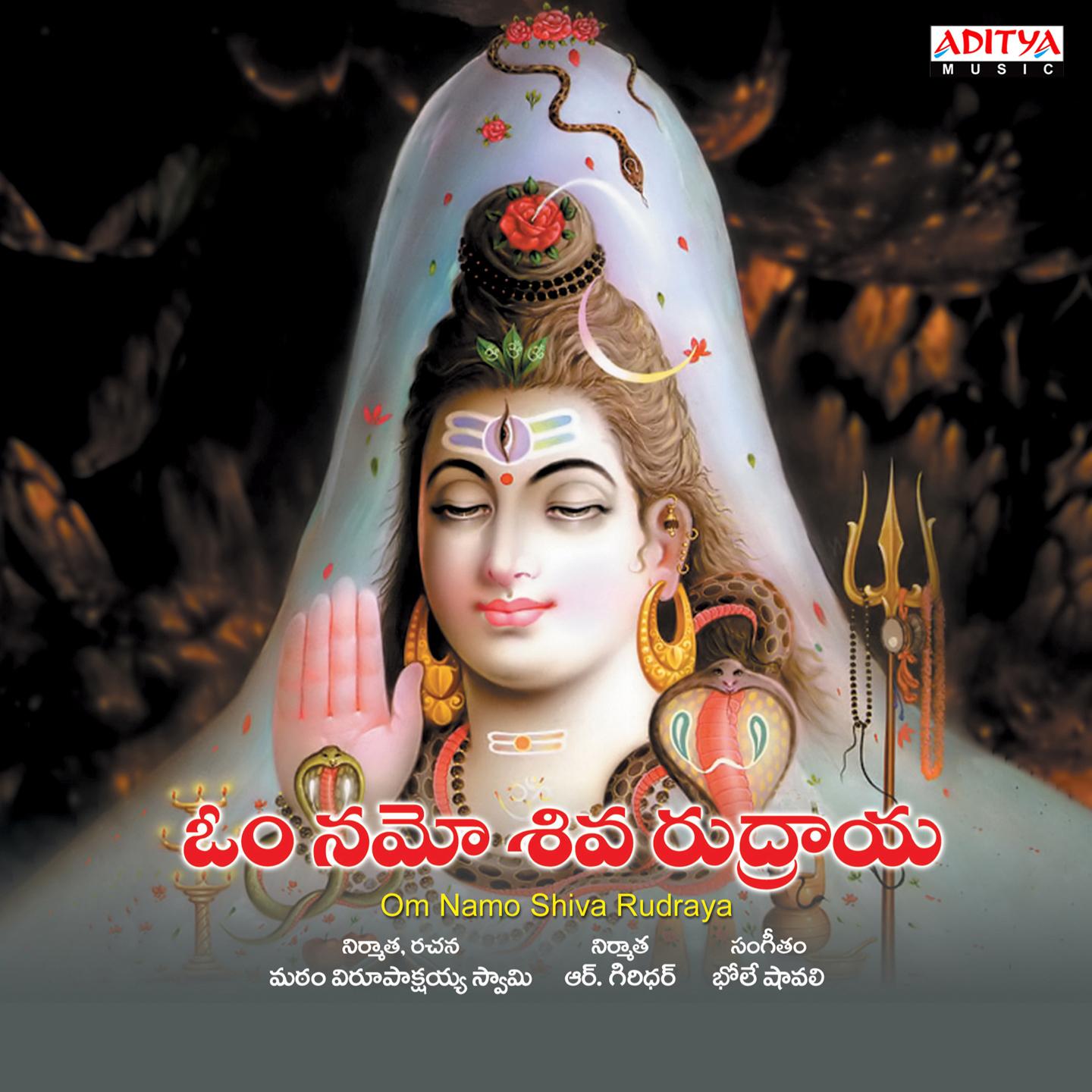 Постер альбома Om Namo Shiva Rudraya