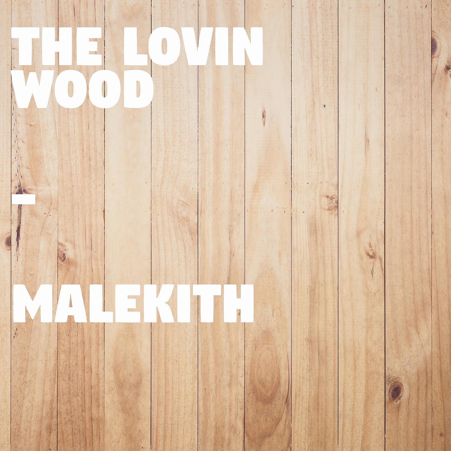 Постер альбома The Lovin Wood