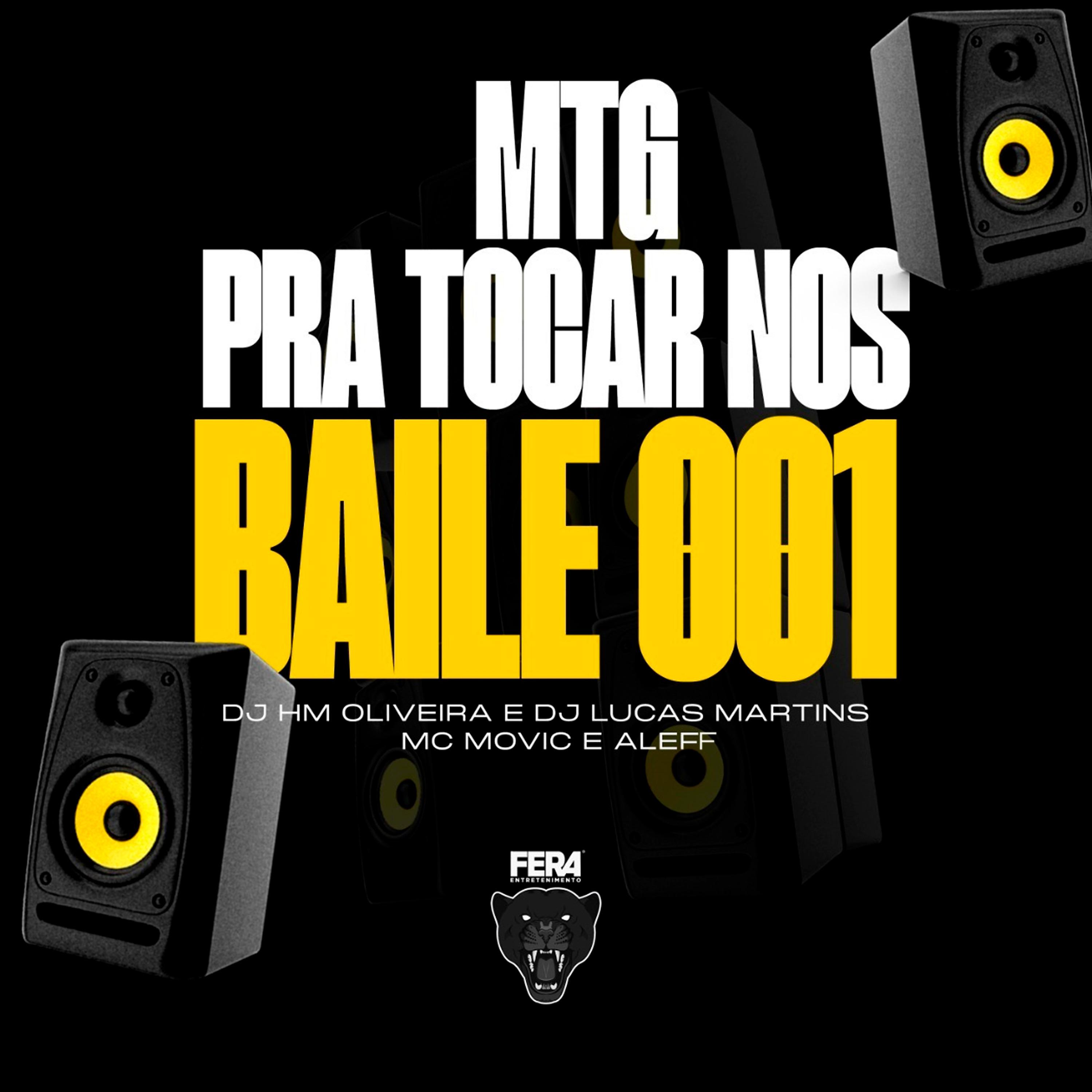 Постер альбома Pra Tocar nos Baile 001