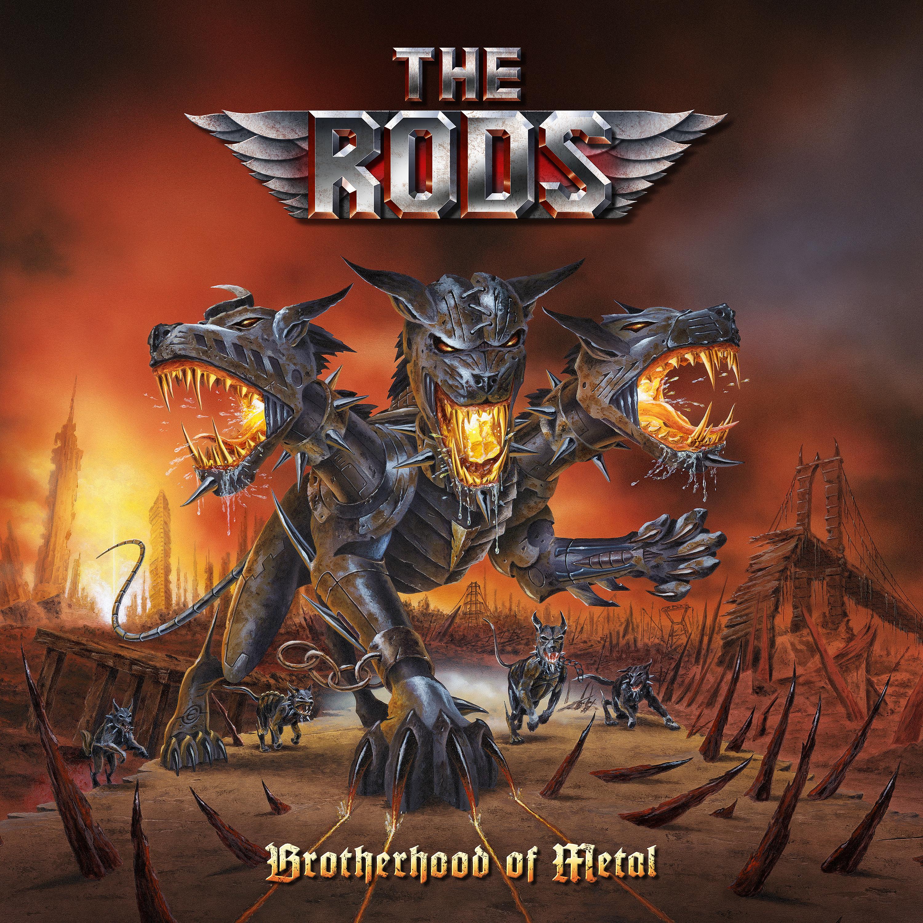 Постер альбома Brotherhood of Metal