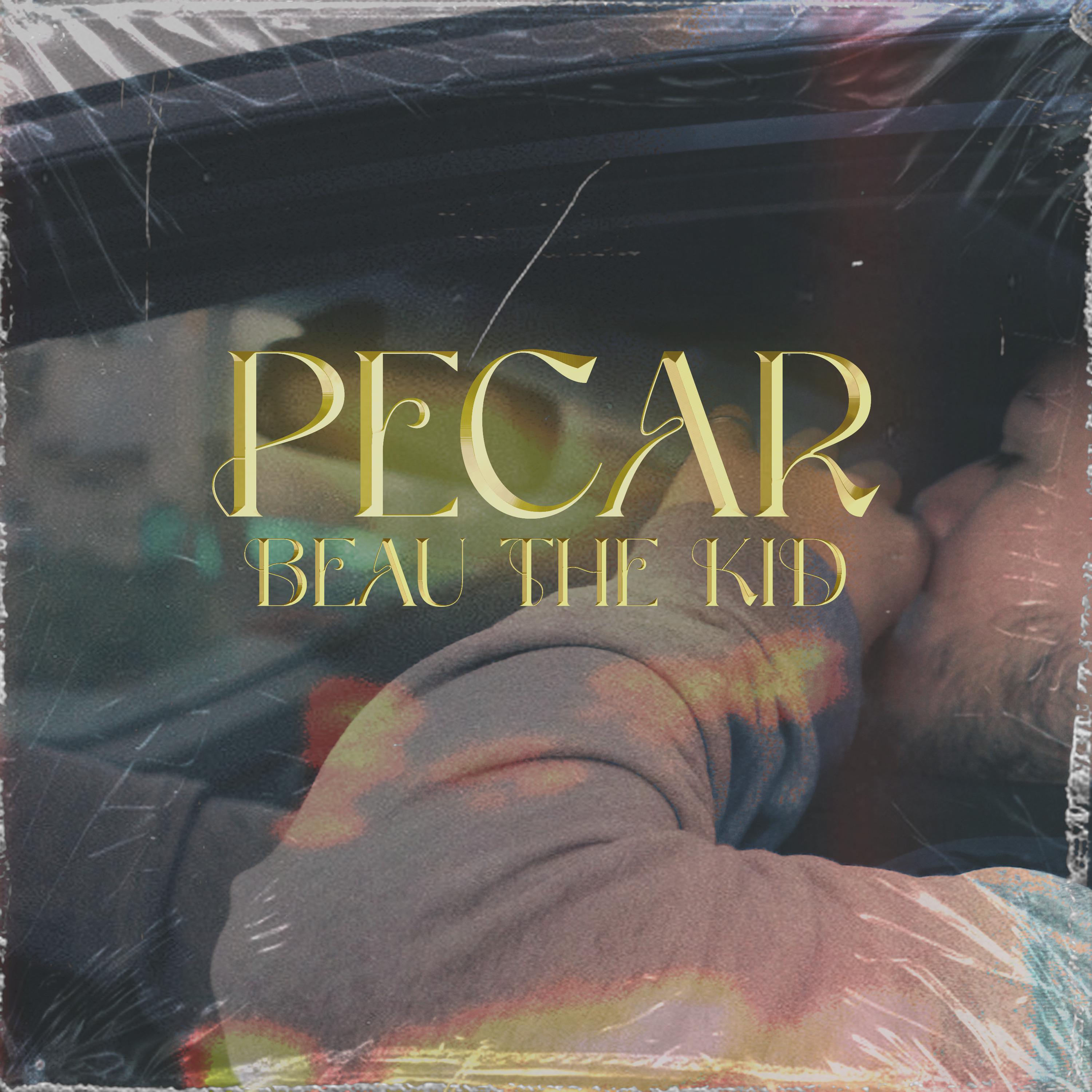 Постер альбома Pecar