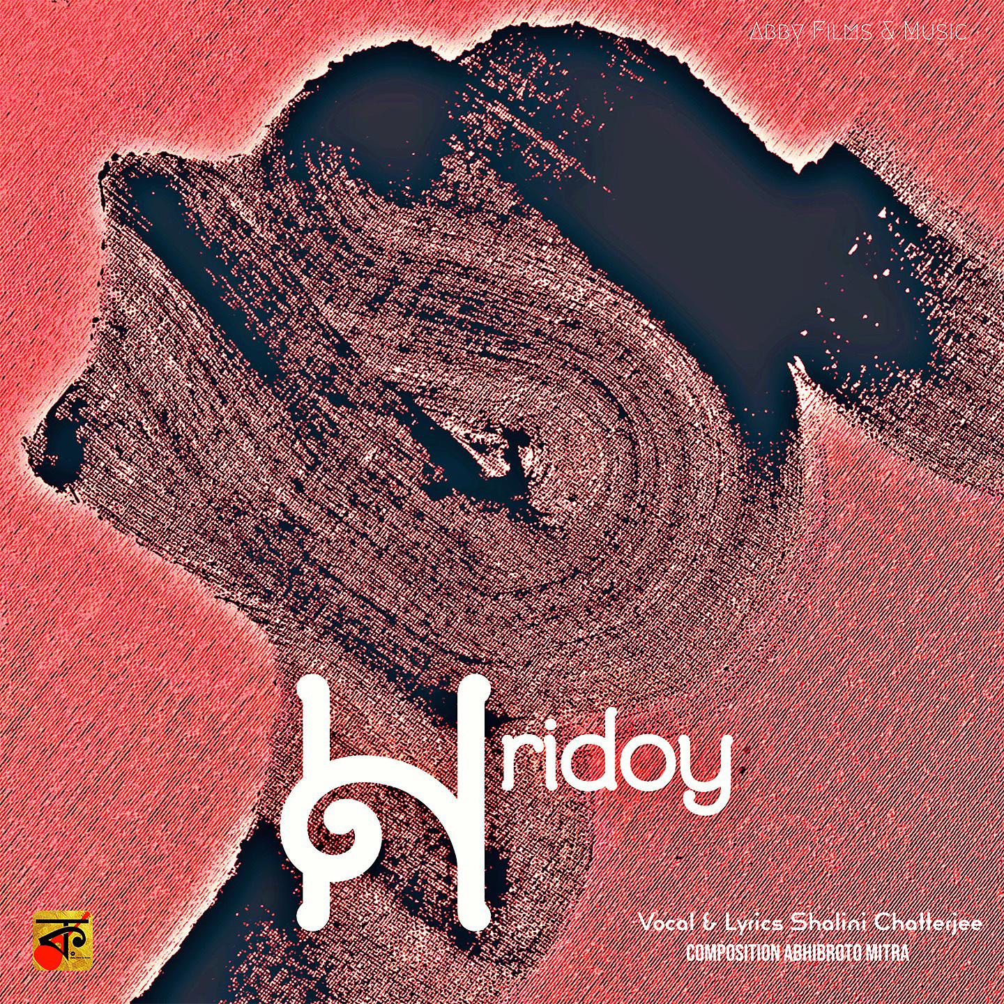 Постер альбома Hridoy