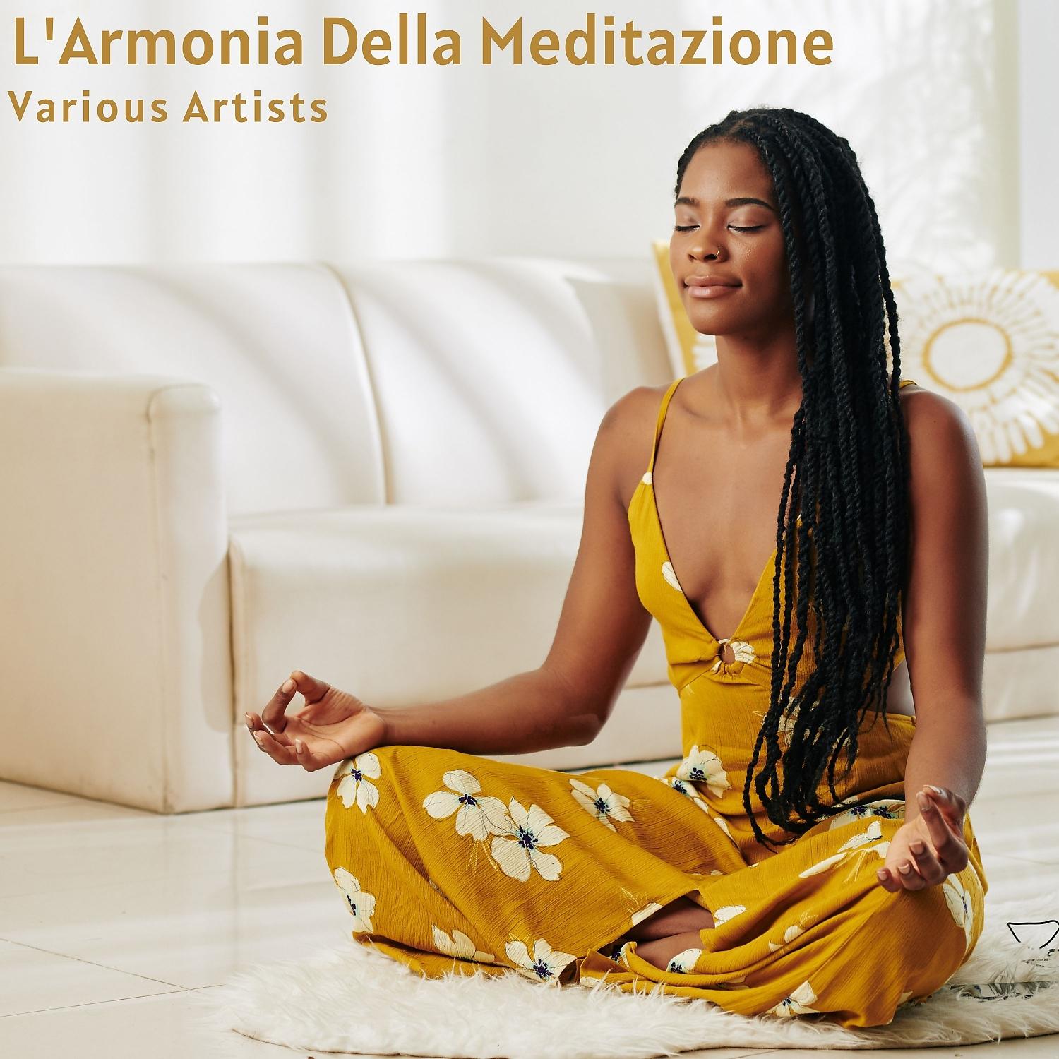 Постер альбома L'armonia della meditazione