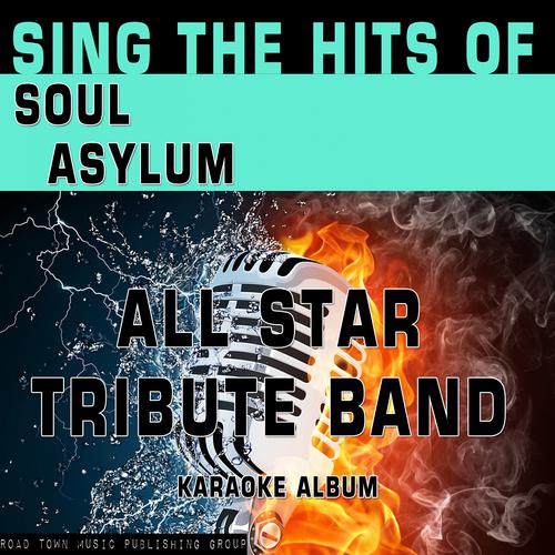 Постер альбома Sing the Hits of Soul Asylum