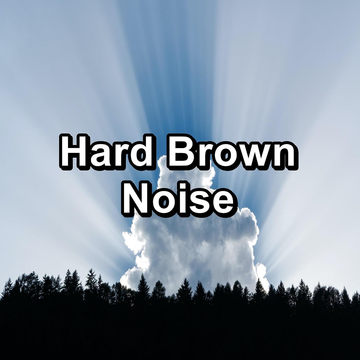 Постер альбома Hard Brown Noise