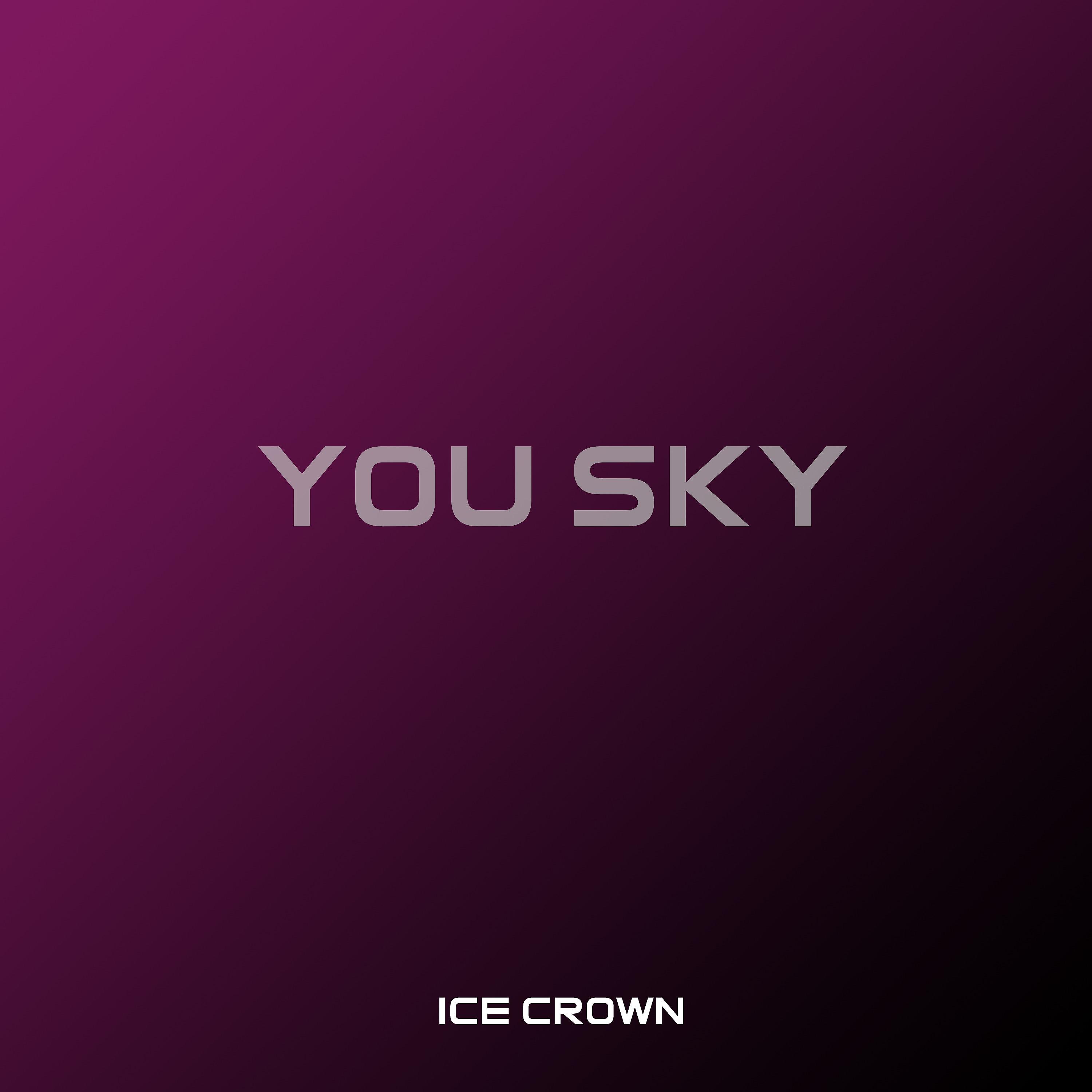 Постер альбома You Sky