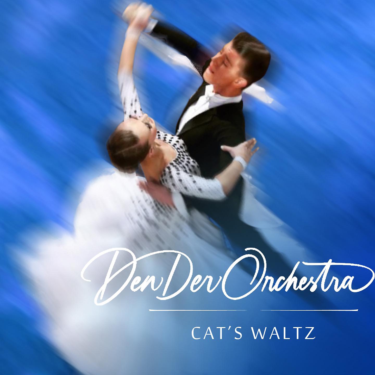 Постер альбома Cat's Waltz