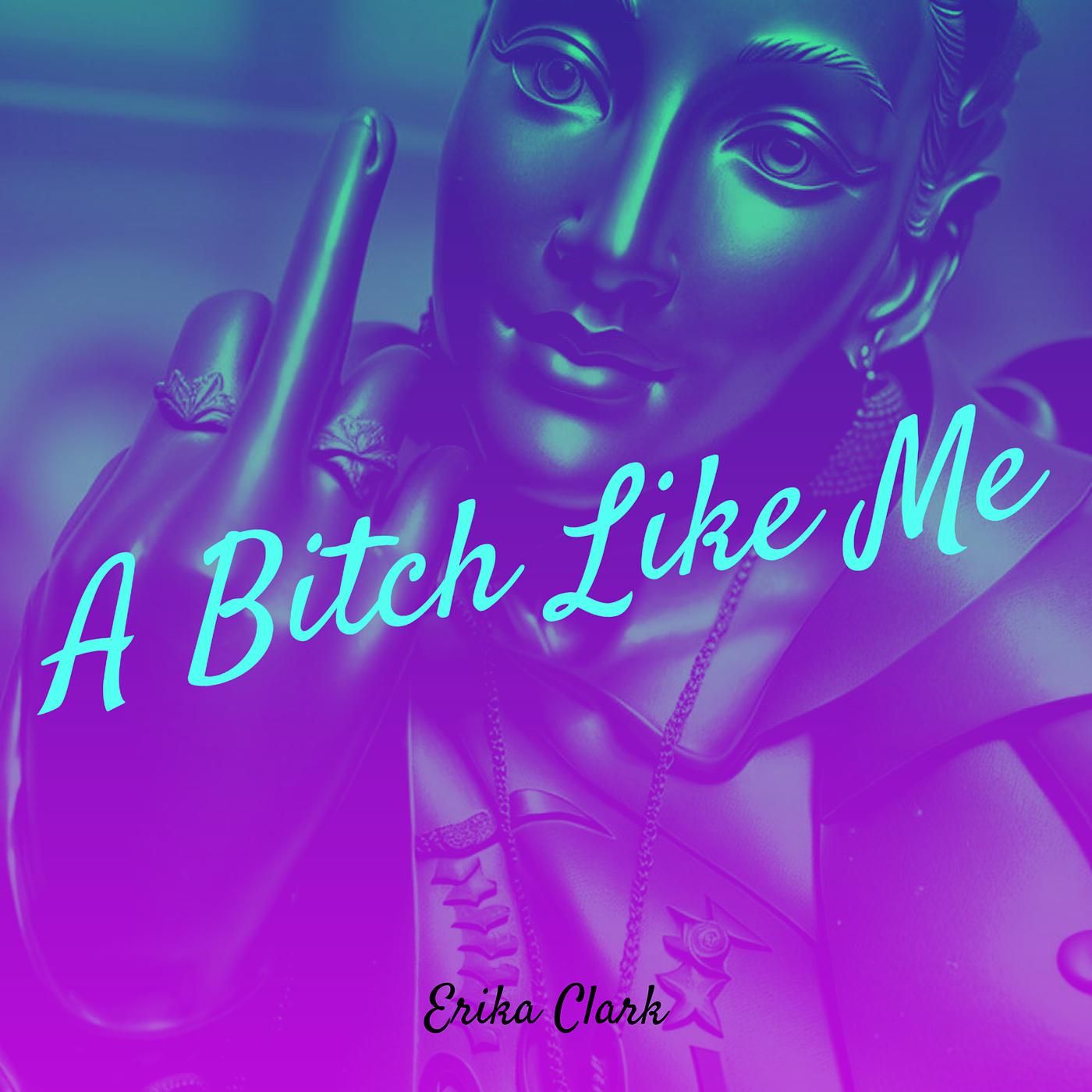 Постер альбома A Bitch Like Me
