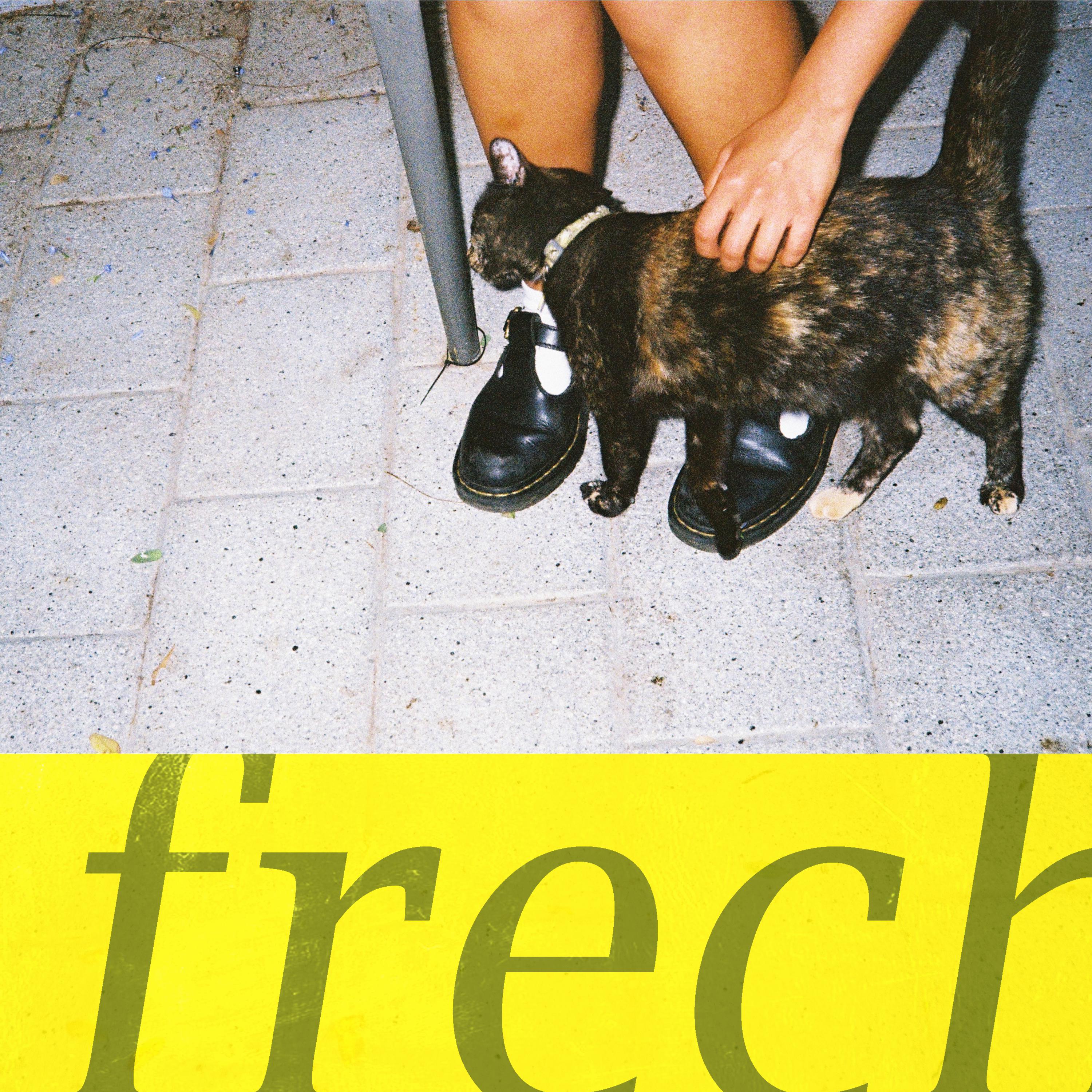 Постер альбома Frech