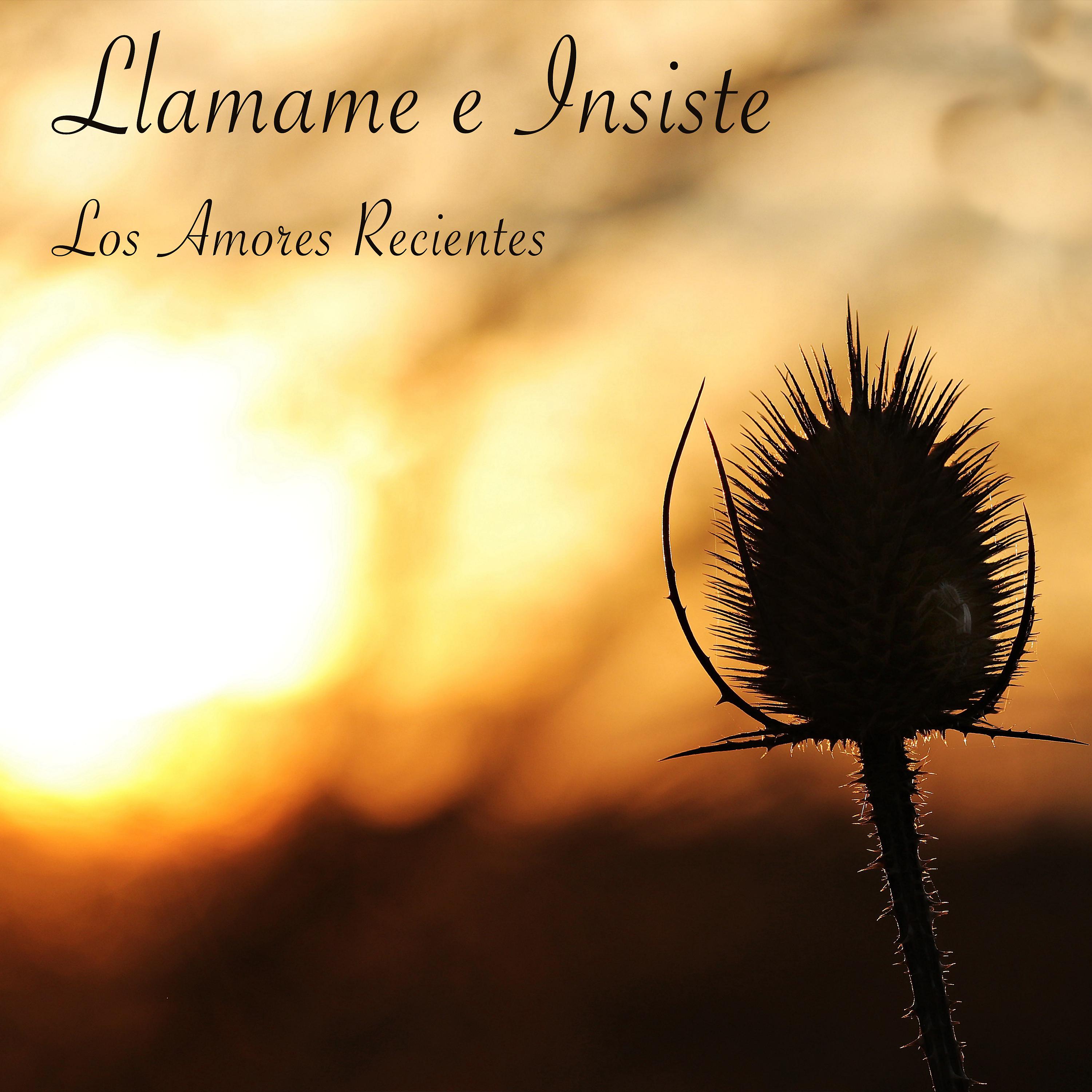 Постер альбома Llamame e Insiste