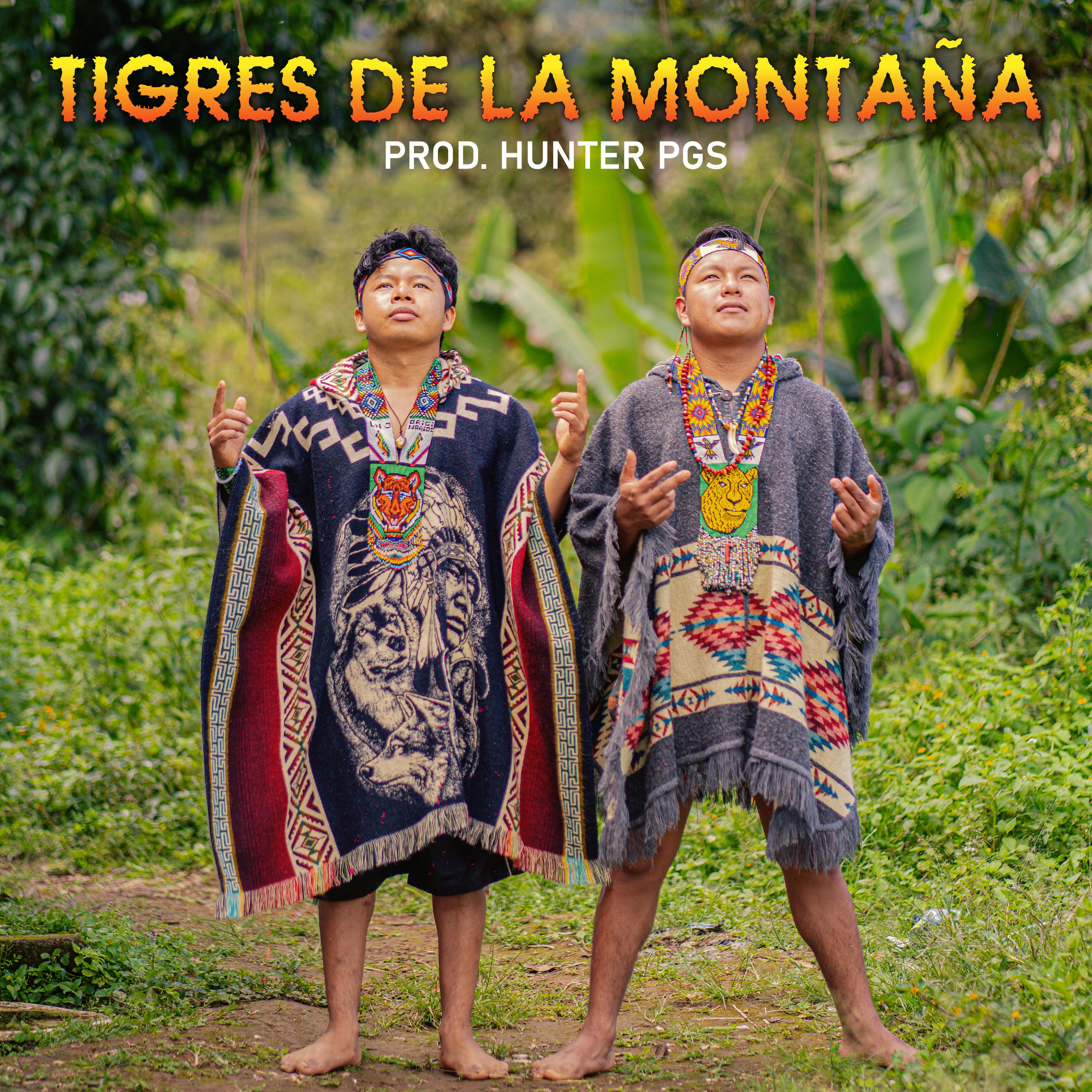 Постер альбома Tigres de la Montaña