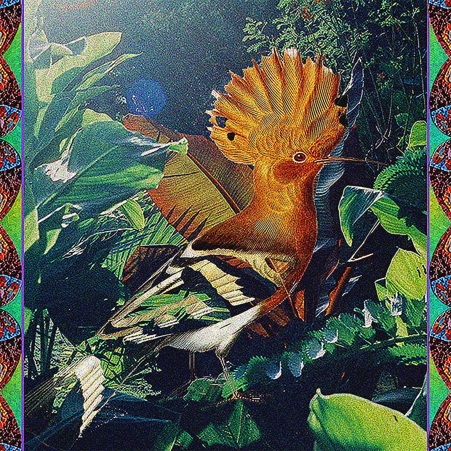 Постер альбома Panamá Libre - EP