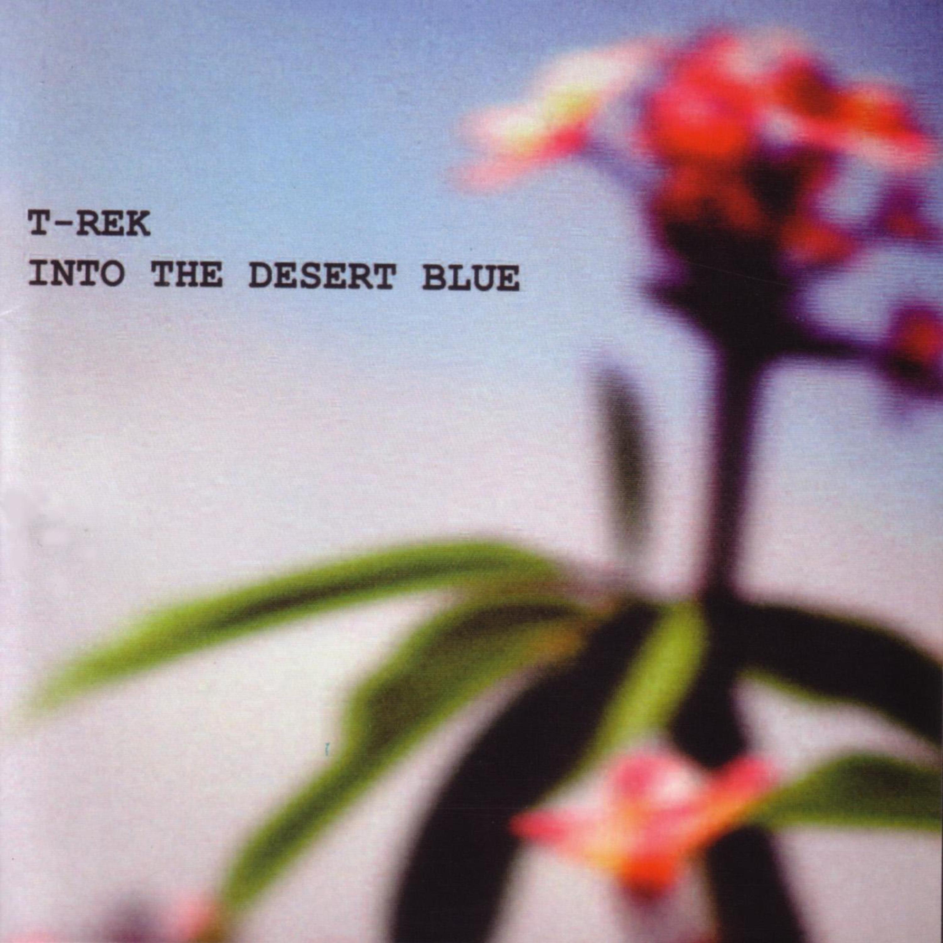 Постер альбома Into The Desert Blue