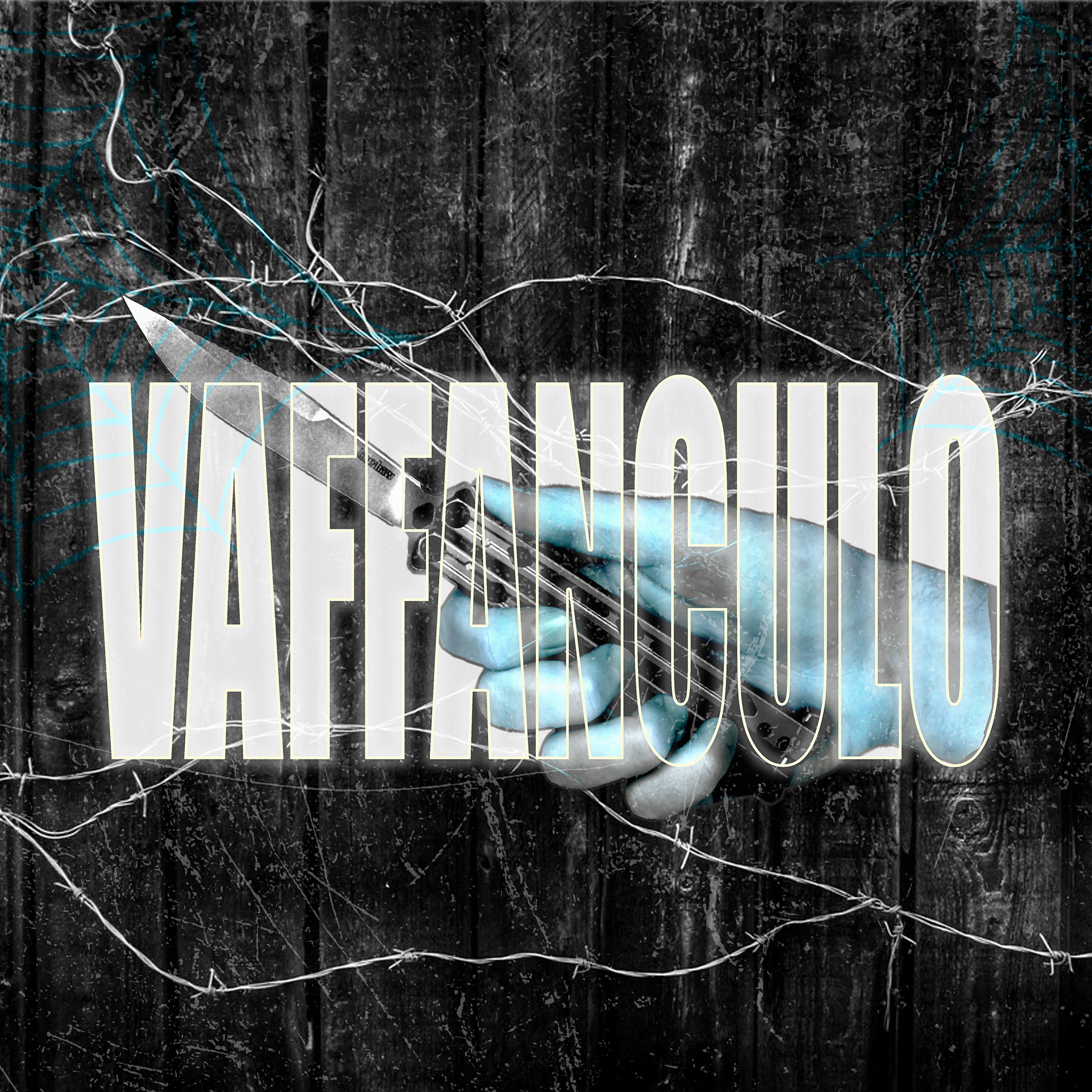 Постер альбома Vaffanculo