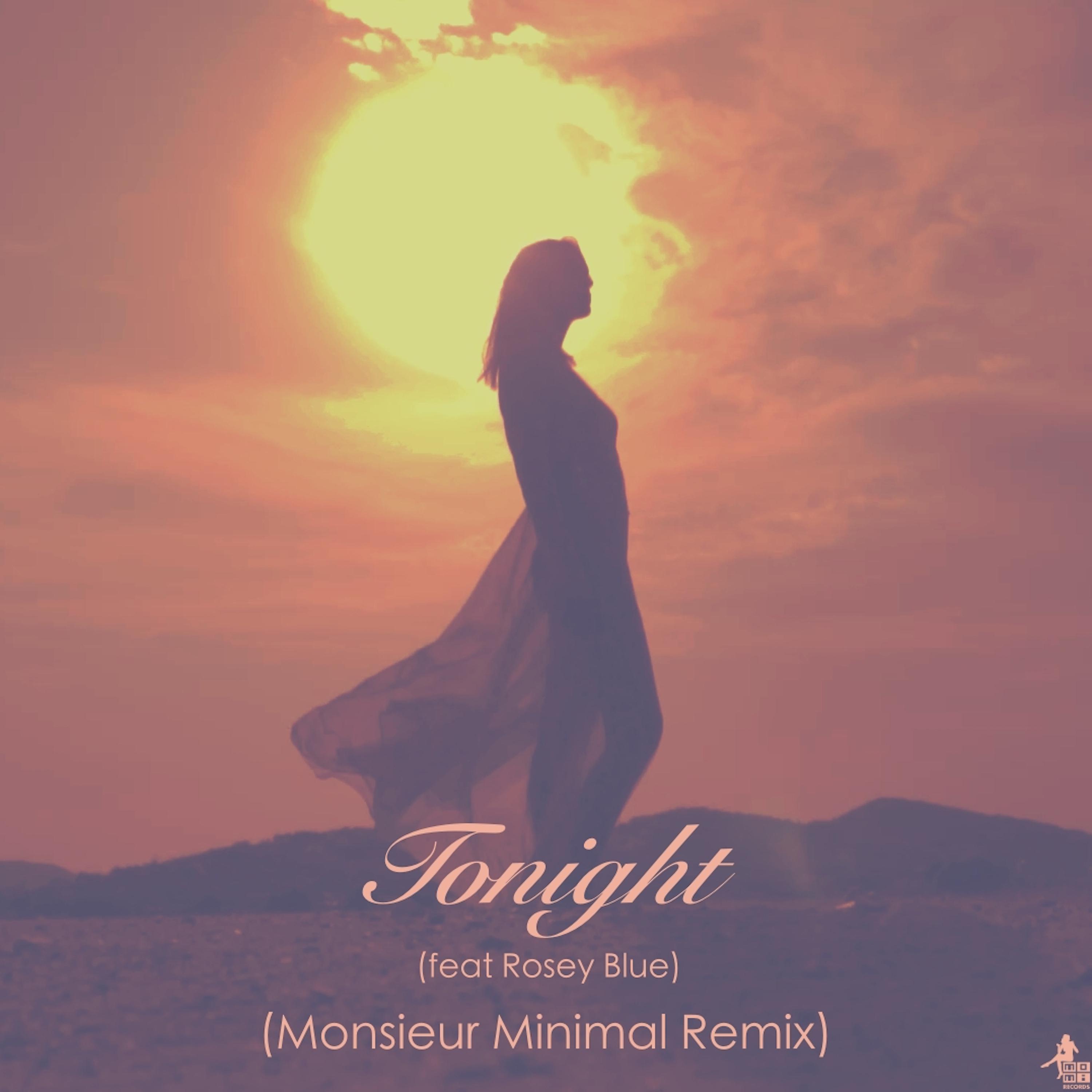 Постер альбома Tonight (Monsieur Minimal Remix)