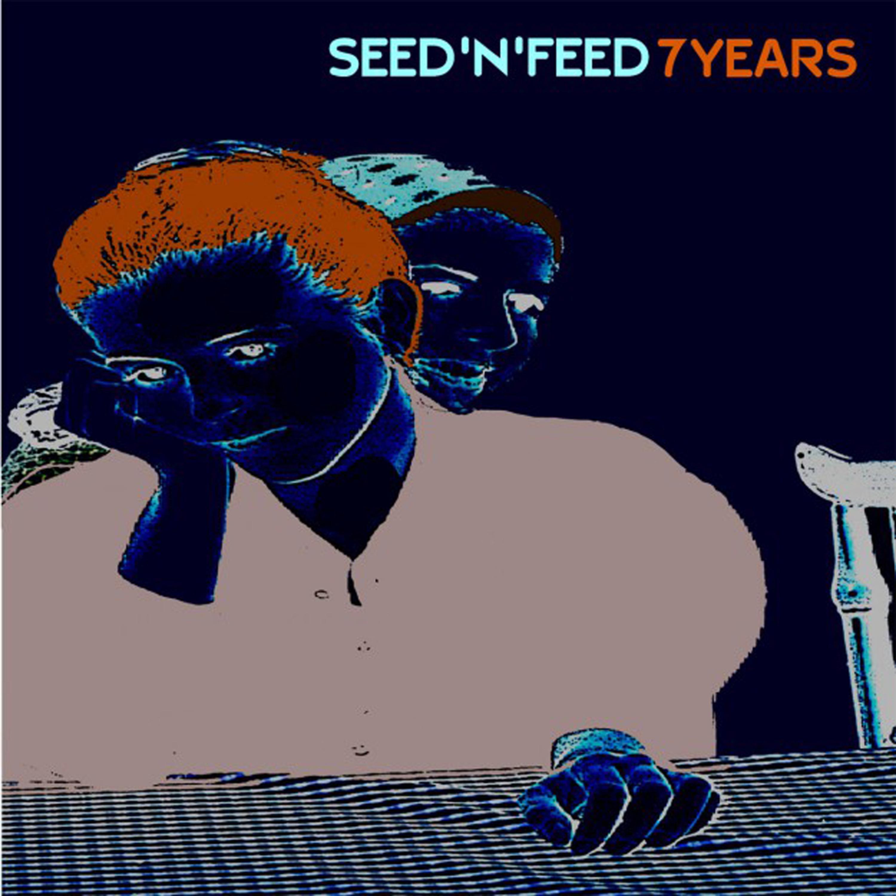 Постер альбома Seed'n'feed - 7years