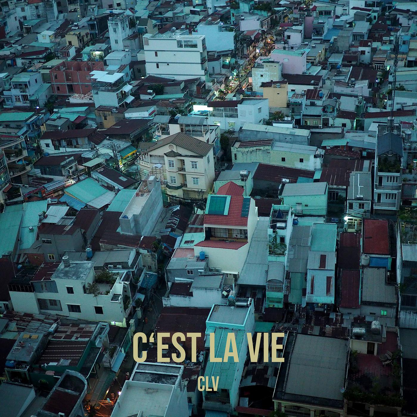 Постер альбома C‘est La Vie