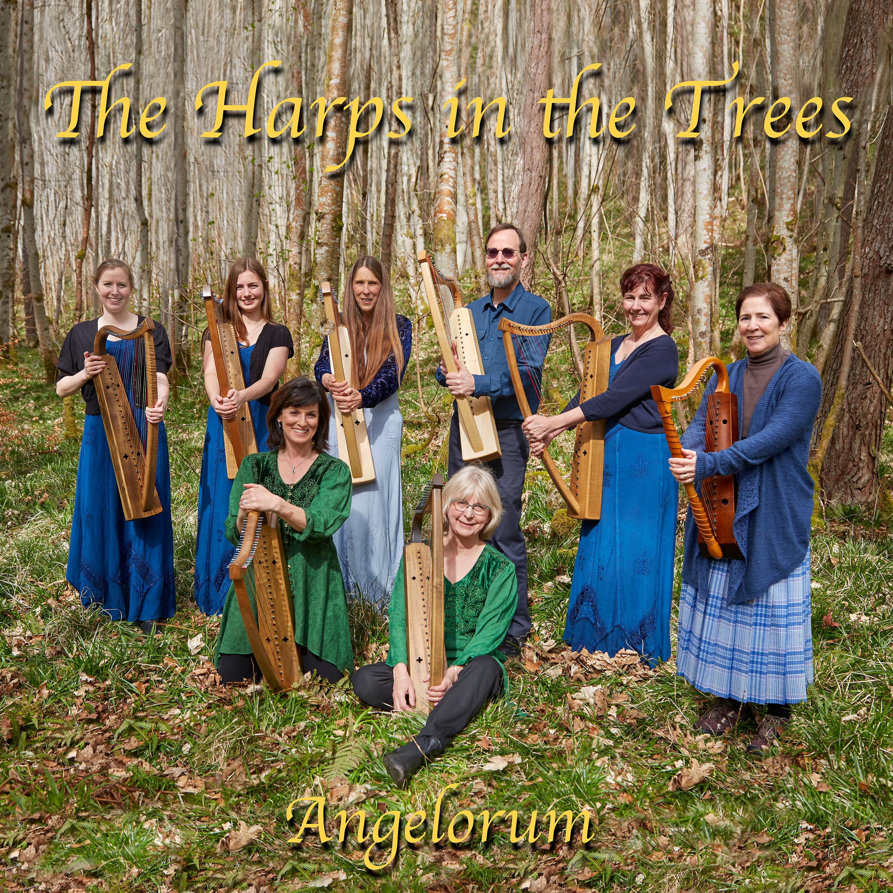 Постер альбома Angelorum - the Harps in the Trees