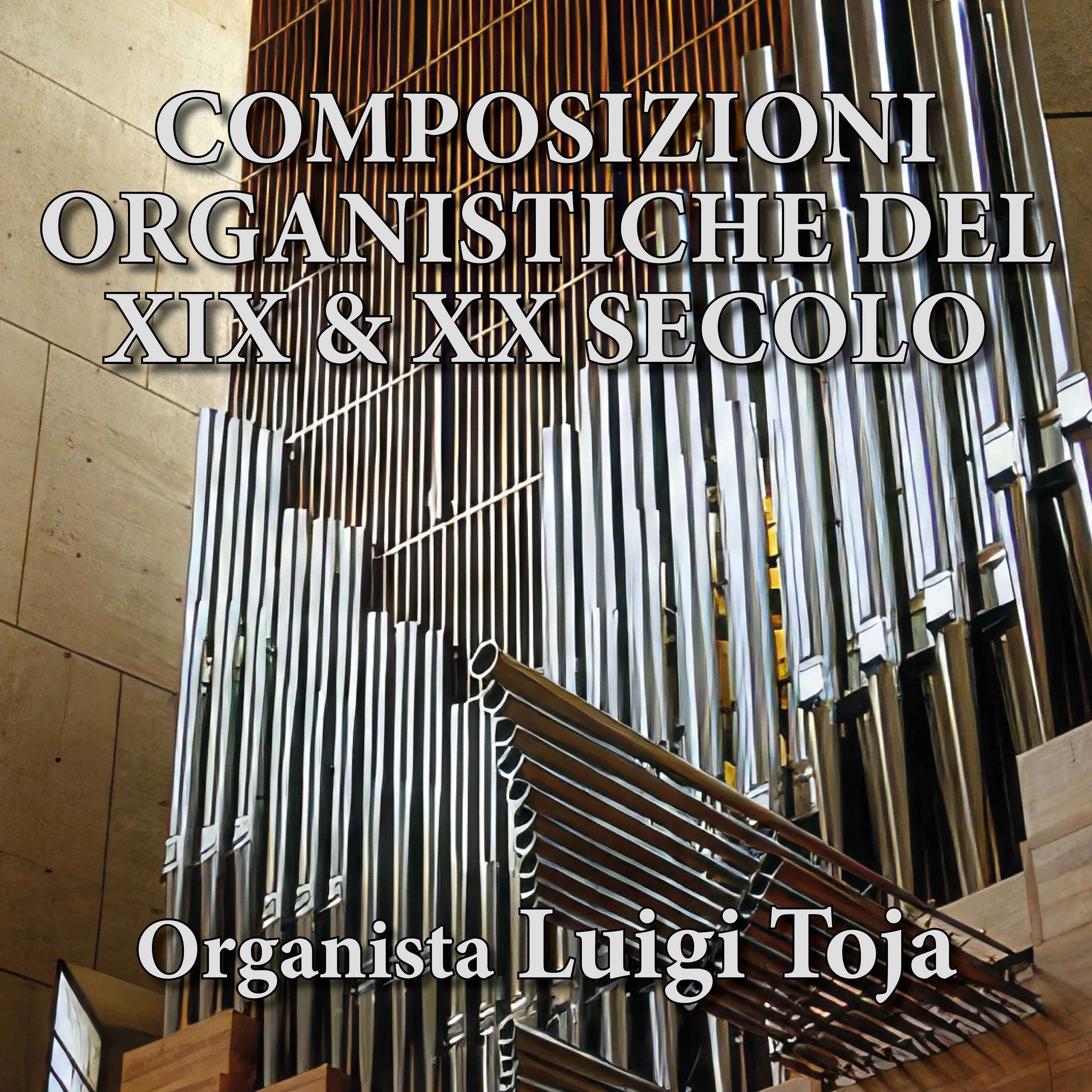 Постер альбома Composizioni organistiche del XIX e XX secolo