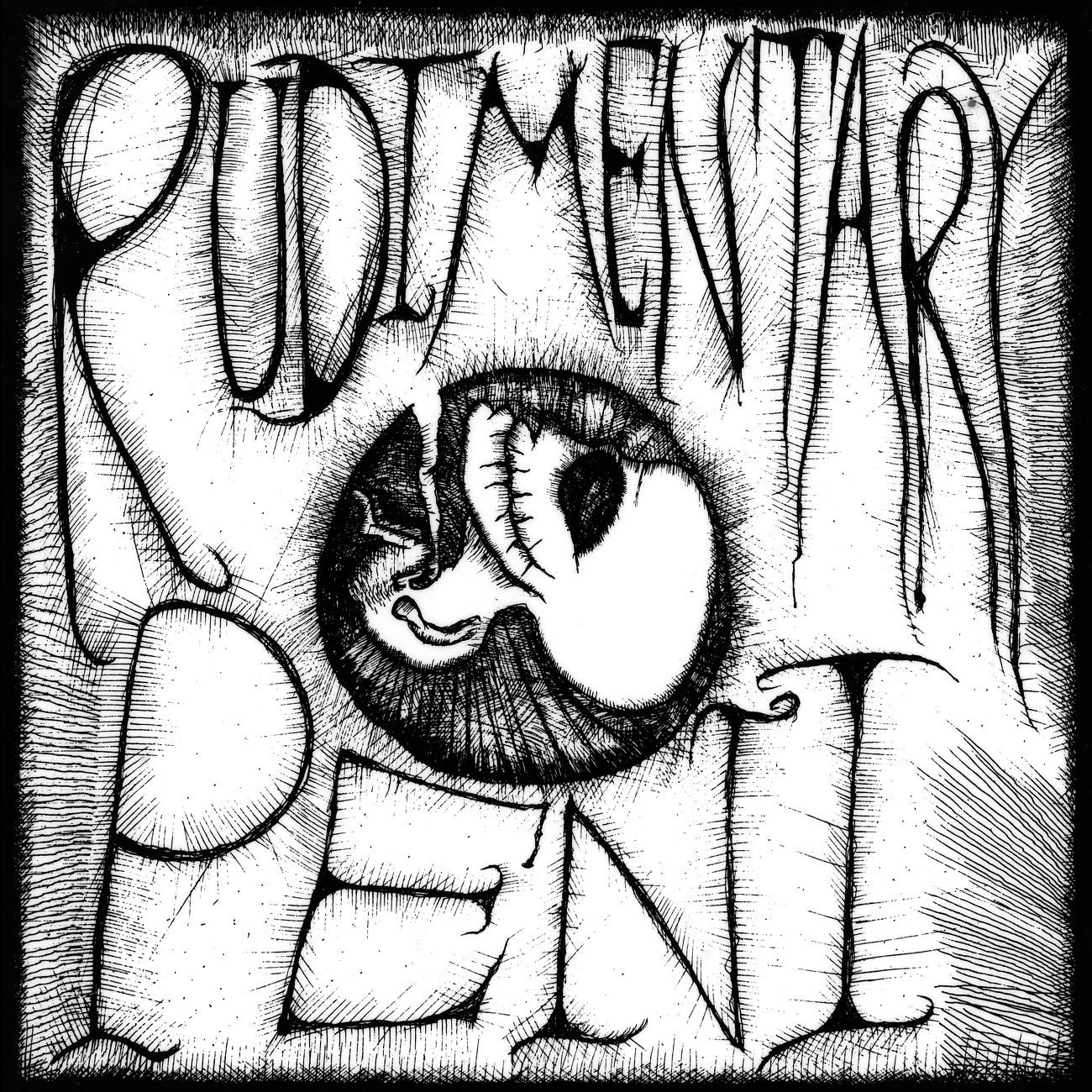Постер альбома Rudimentary Peni
