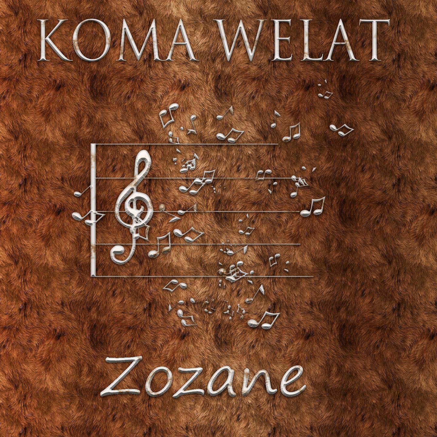 Постер альбома Zozane