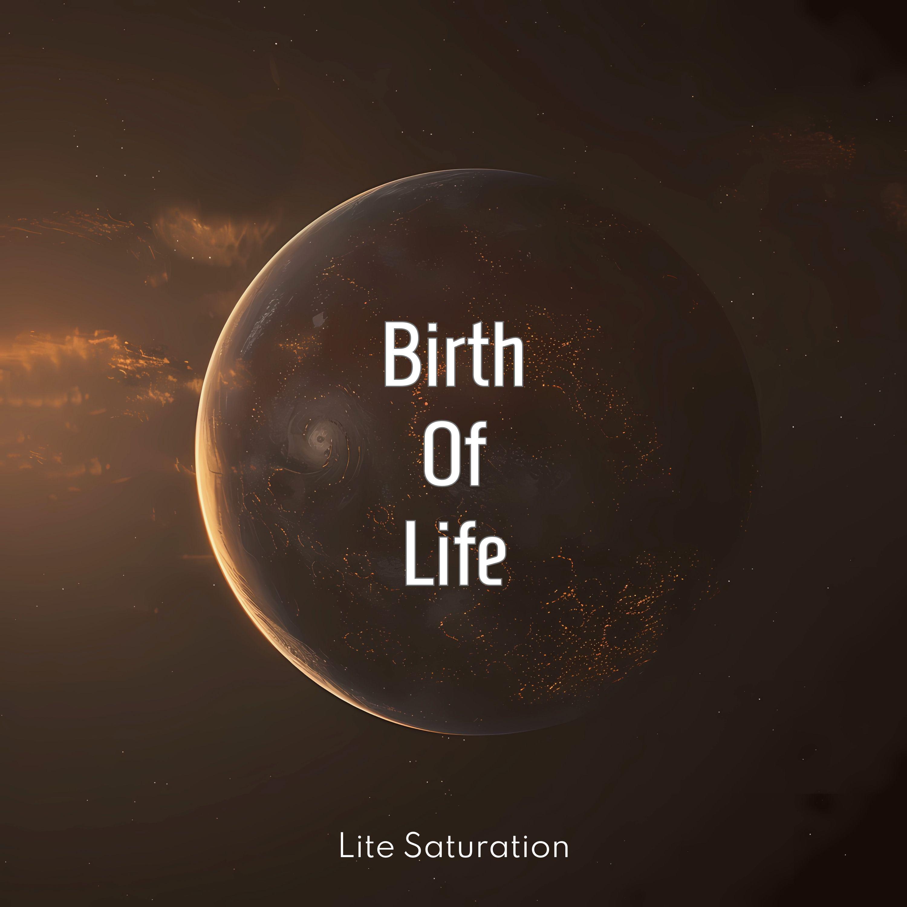 Постер альбома Birth Of Life