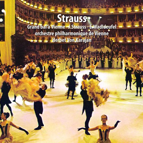 Постер альбома Strauss : Grand bal à Vienne