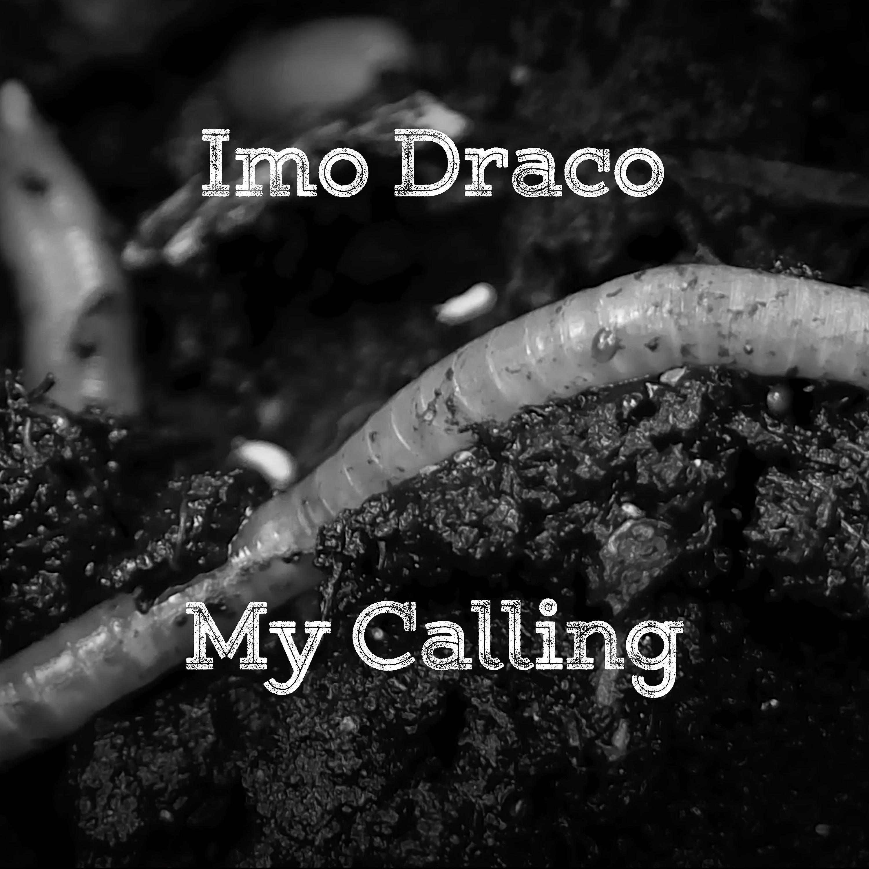 Постер альбома My Calling