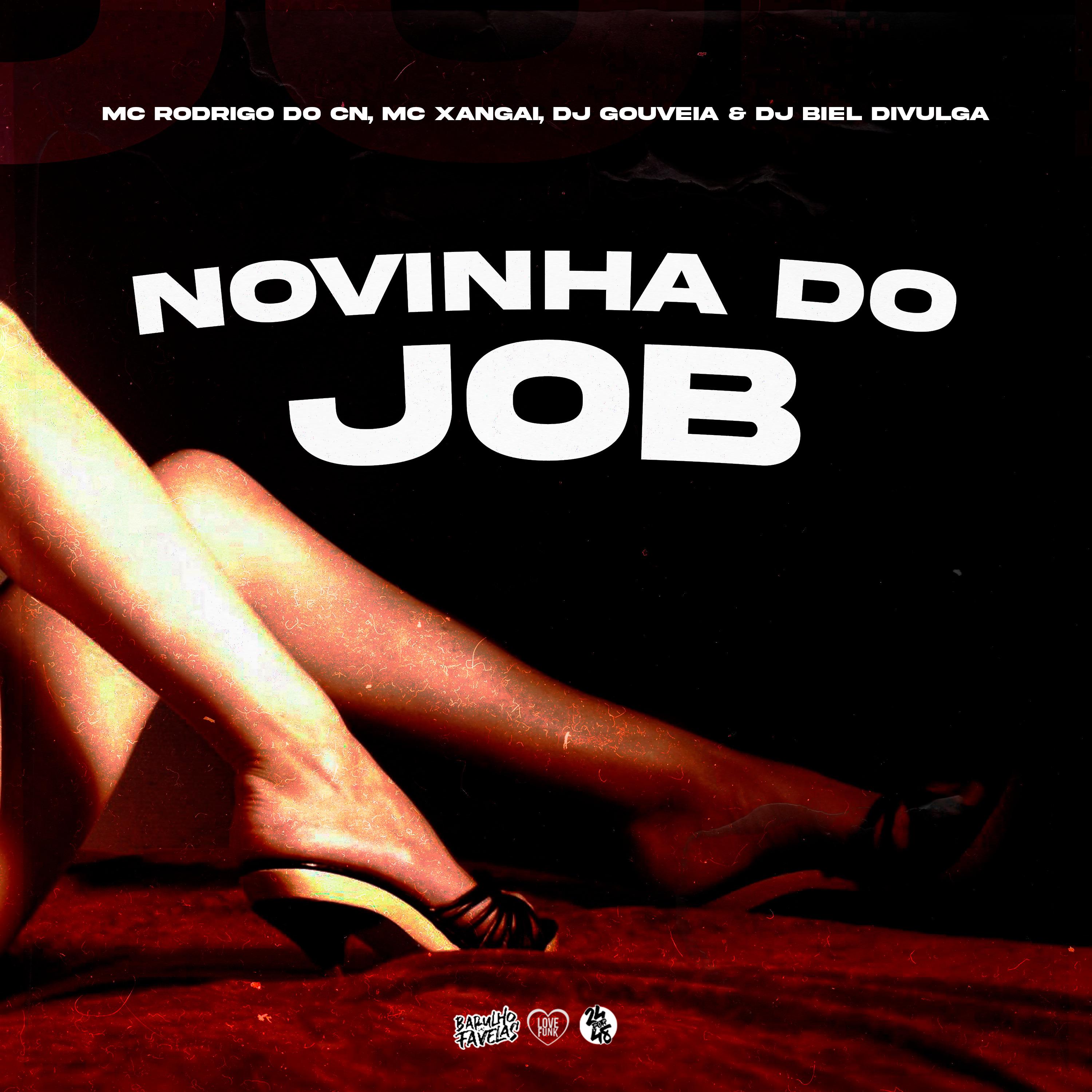 Постер альбома Novinha do Job