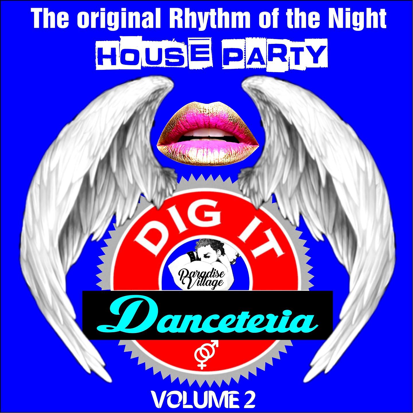Постер альбома Danceteria Dig-It - Volume 2 - The Original Rhythm of the Night - House Party