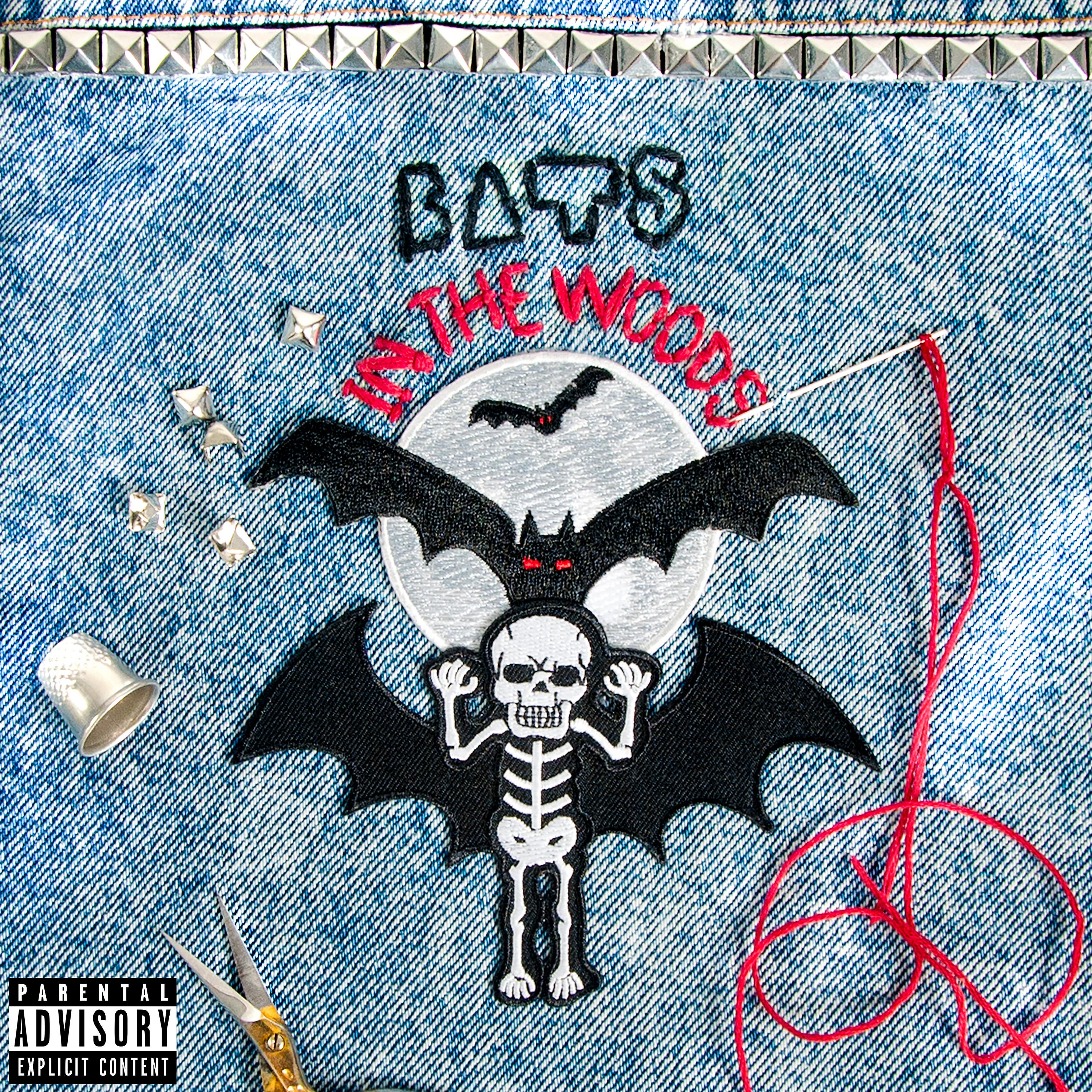 Постер альбома Bats in the Woods