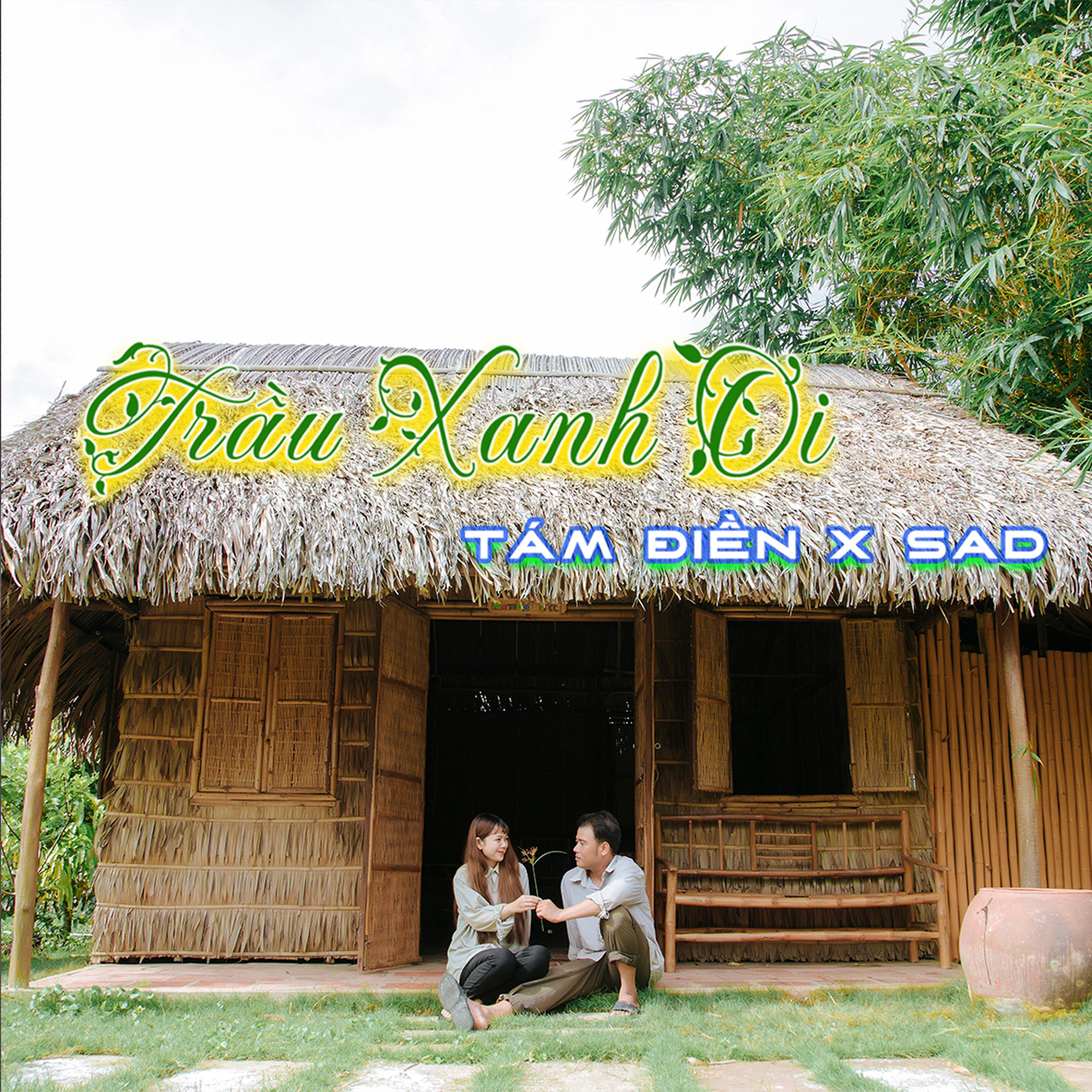 Постер альбома Trầu Xanh Ơi