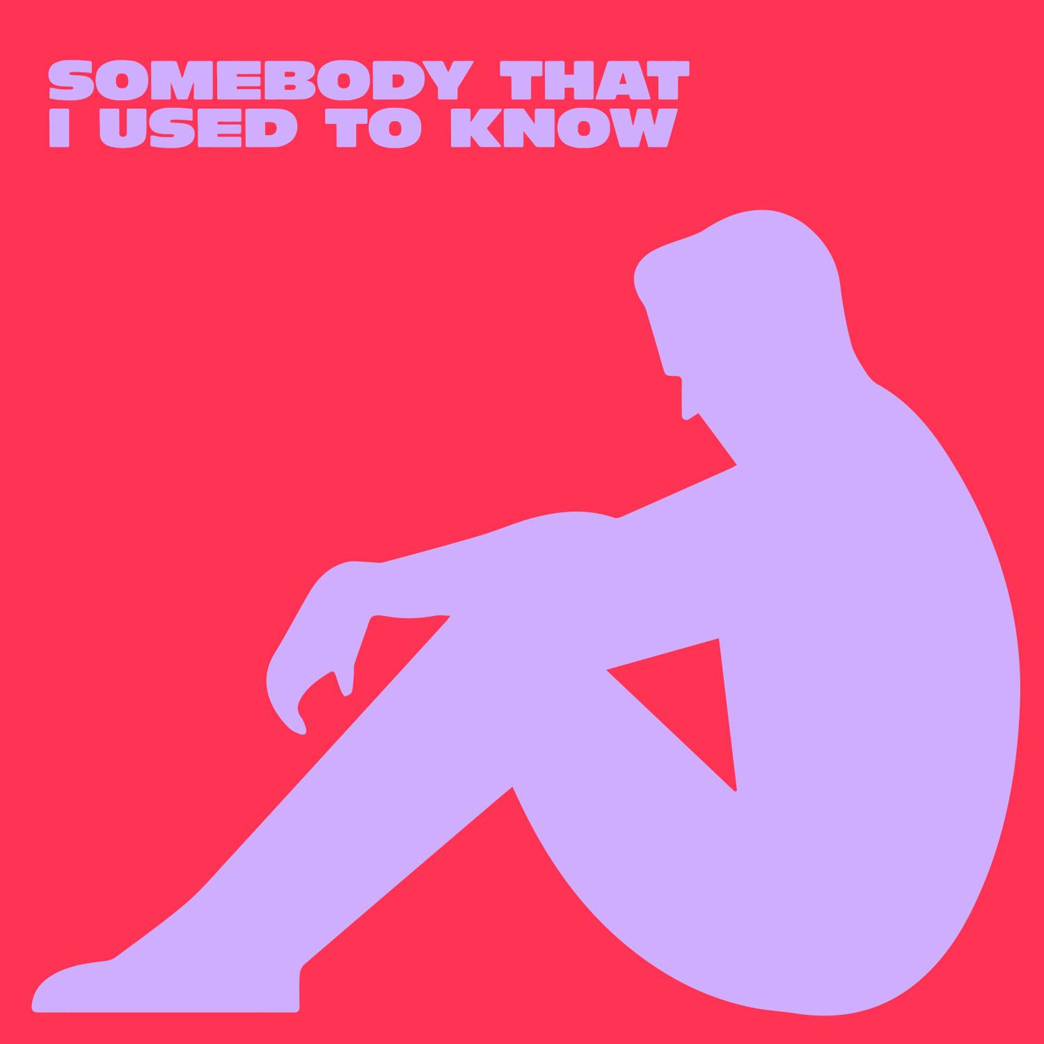 Постер альбома Somebody That I Used To Know