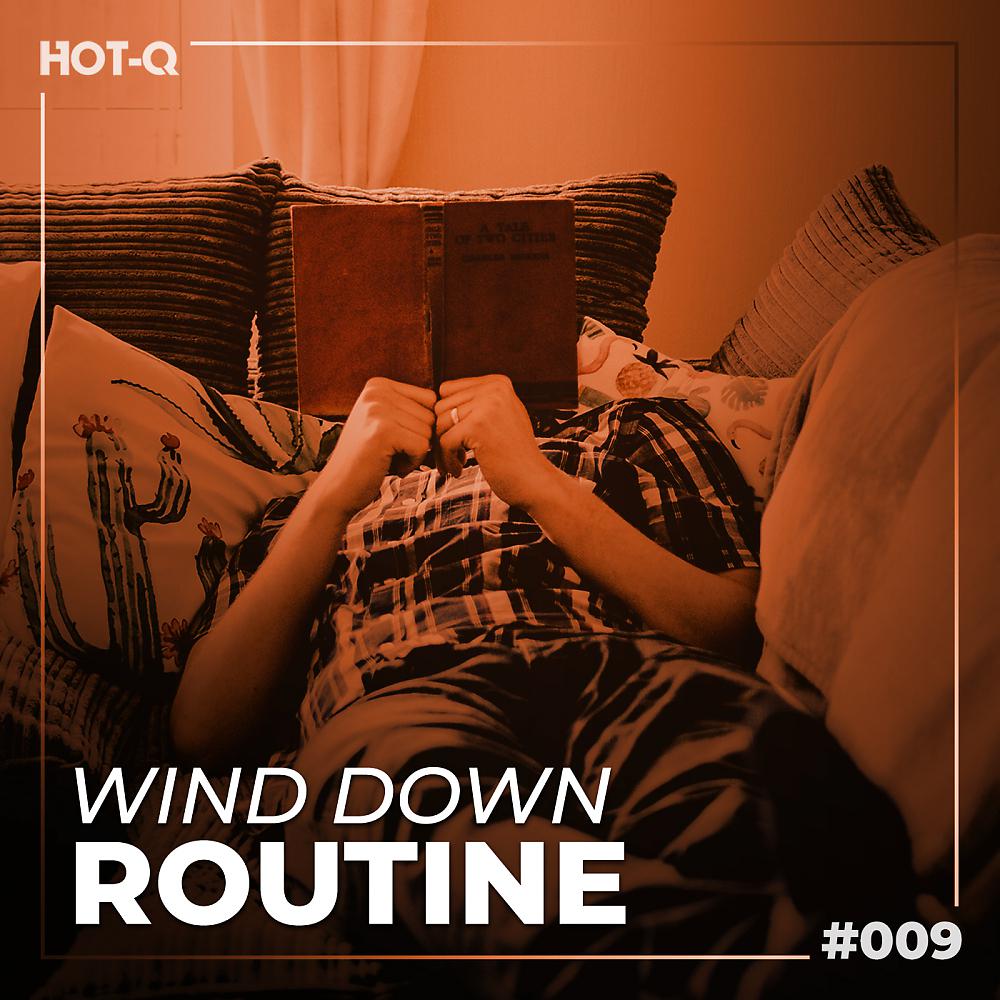 Постер альбома Wind Down Routine 009